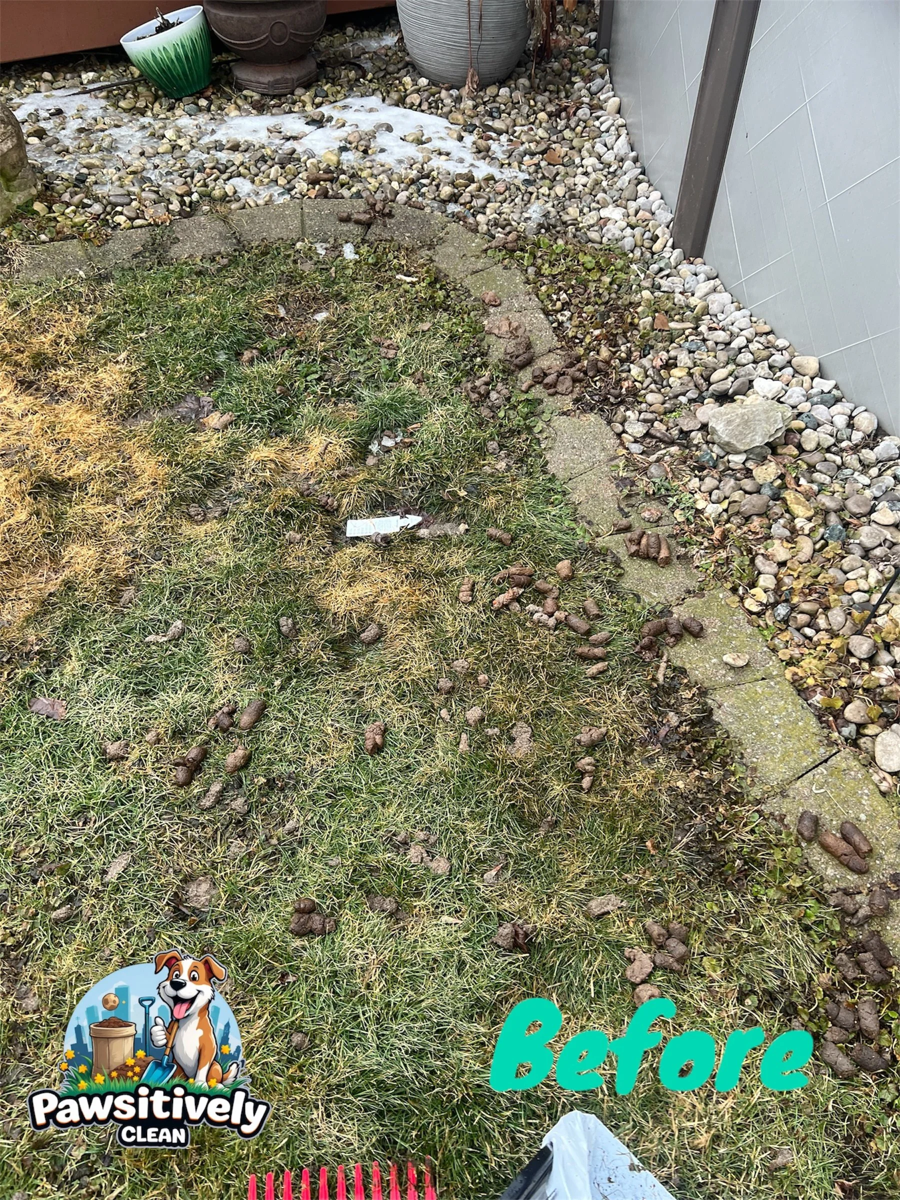 A yard with scattered dog waste and some garden decorations. Text reads 'Before' and has a logo for 'Pawsitively Clean.'