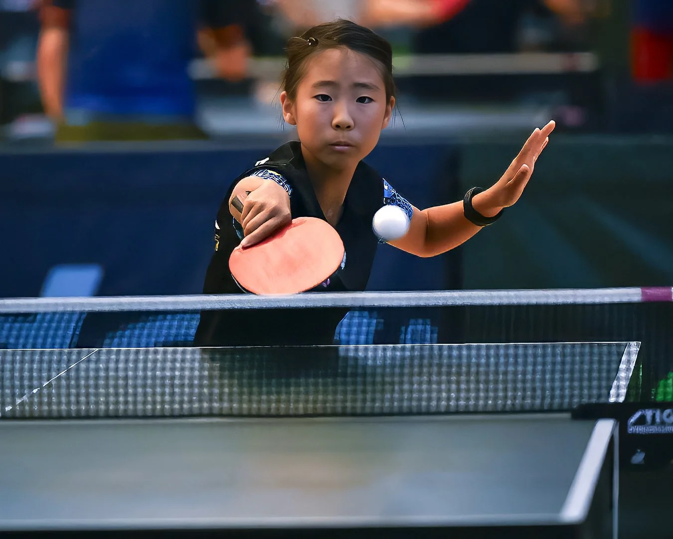 San Diego Open Results