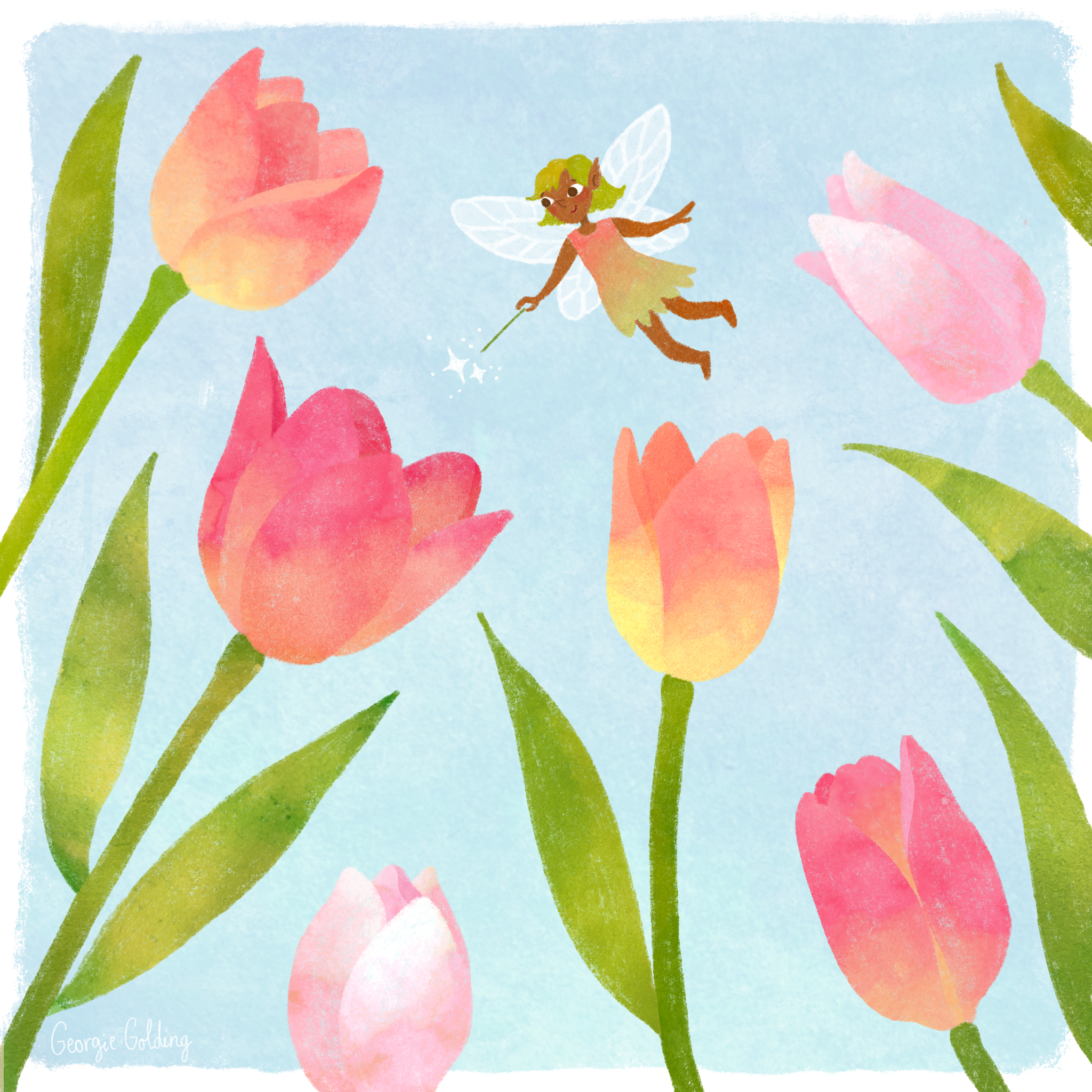 Tulip Fairy