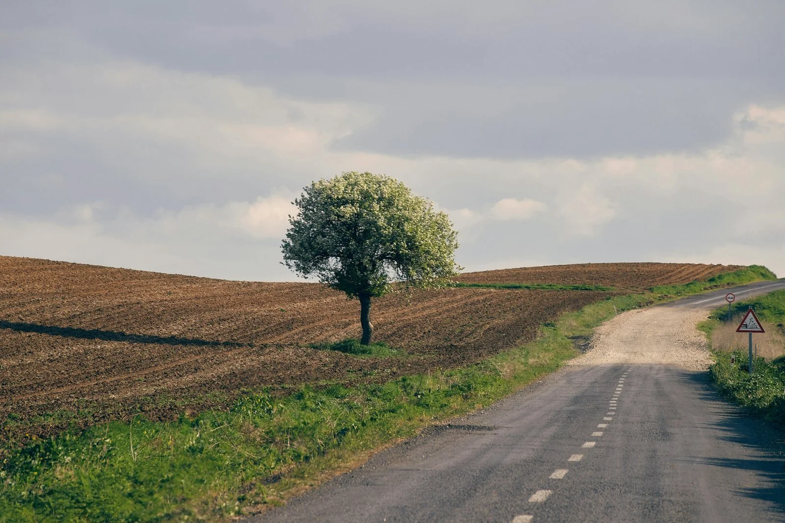 ACT for Trauma: PTSD & Complex PTSD Without Reliving It