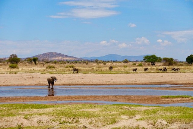 Tantalizing Tanzania Part 4: Ruaha