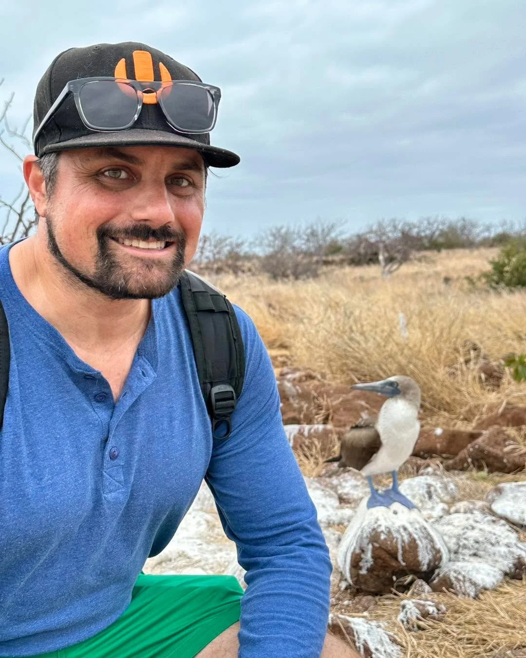 Watching blue-footed boobies doing their crazy dance and frigates puffing up &mdash; nature&rsquo;s own theater, center stage in the Gal&aacute;pagos. 🐦✨ Who&rsquo;s ready to take a bow?

Luxury Travel Specialist, Jaime Thomas www.dreamscapetraveler