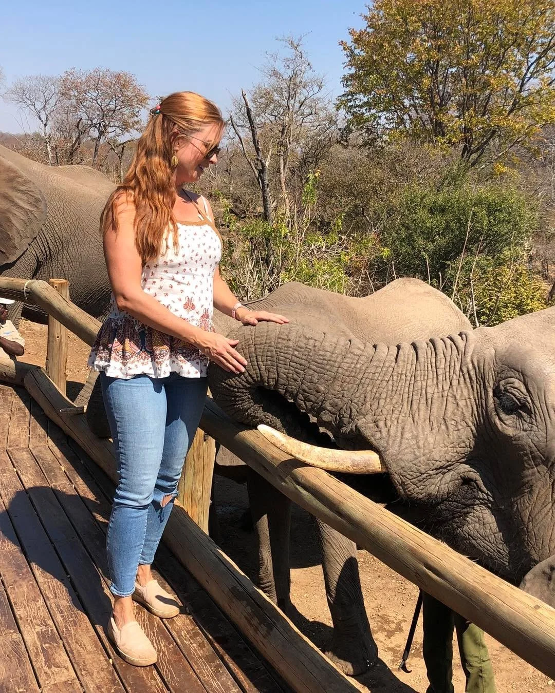 🐘 Connecting with gentle giants at a Zimbabwean elephant sanctuary &mdash; every glance, every step, every moment with them made me feel more alive.

If you&rsquo;re ready for a safari that stirs your soul, one that&rsquo;s luxury-infused and wild-i