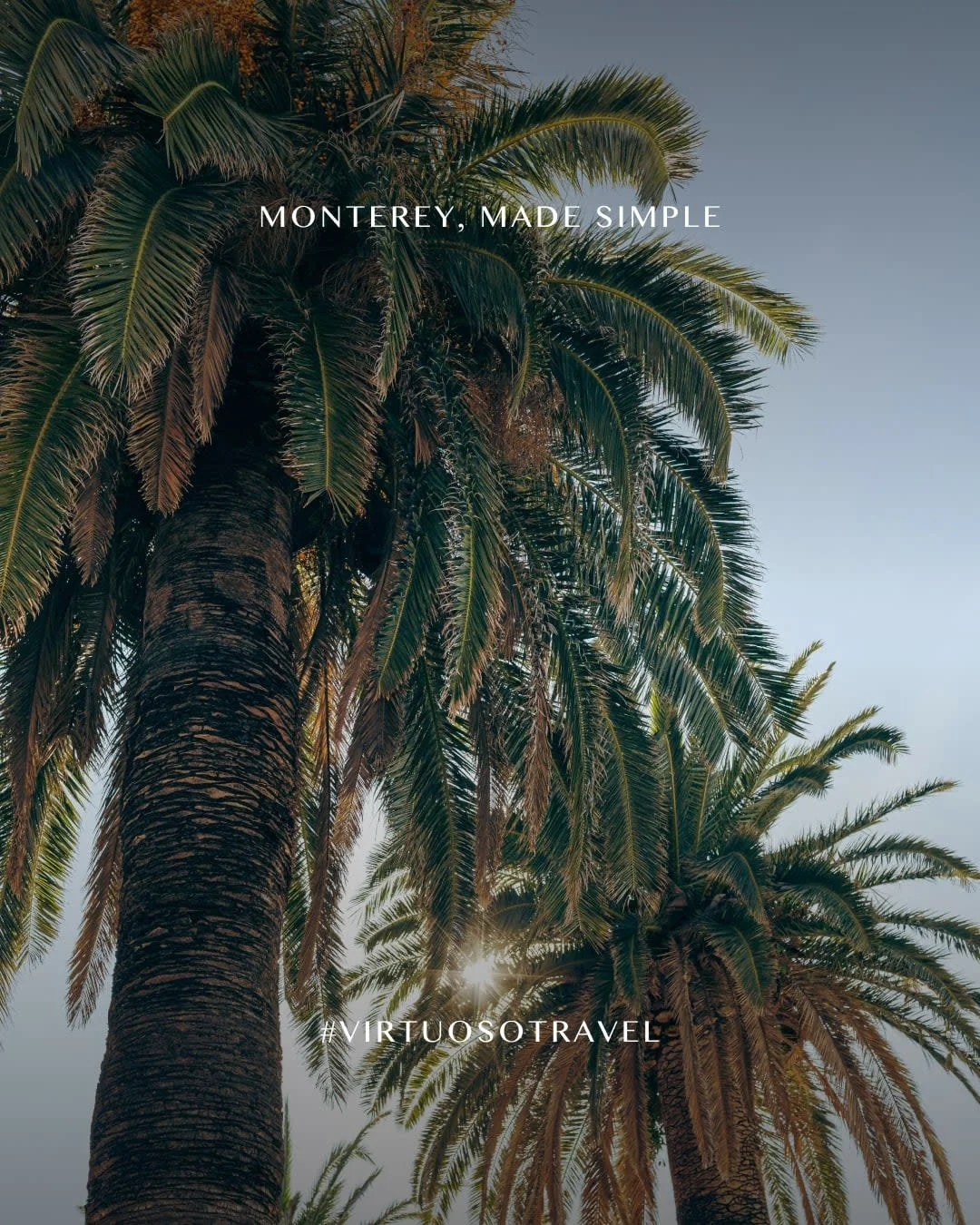 From solar-powered cliffside inns to sea-to-table dining and Audubon-certified fairways, Monterey County makes mindful travel feel effortless. 🏝️✨

Let's connect to plan your next getaway:
(512) 468-4508
Jaime@DreamscapeTraveler.com

#VirtuosoTravel