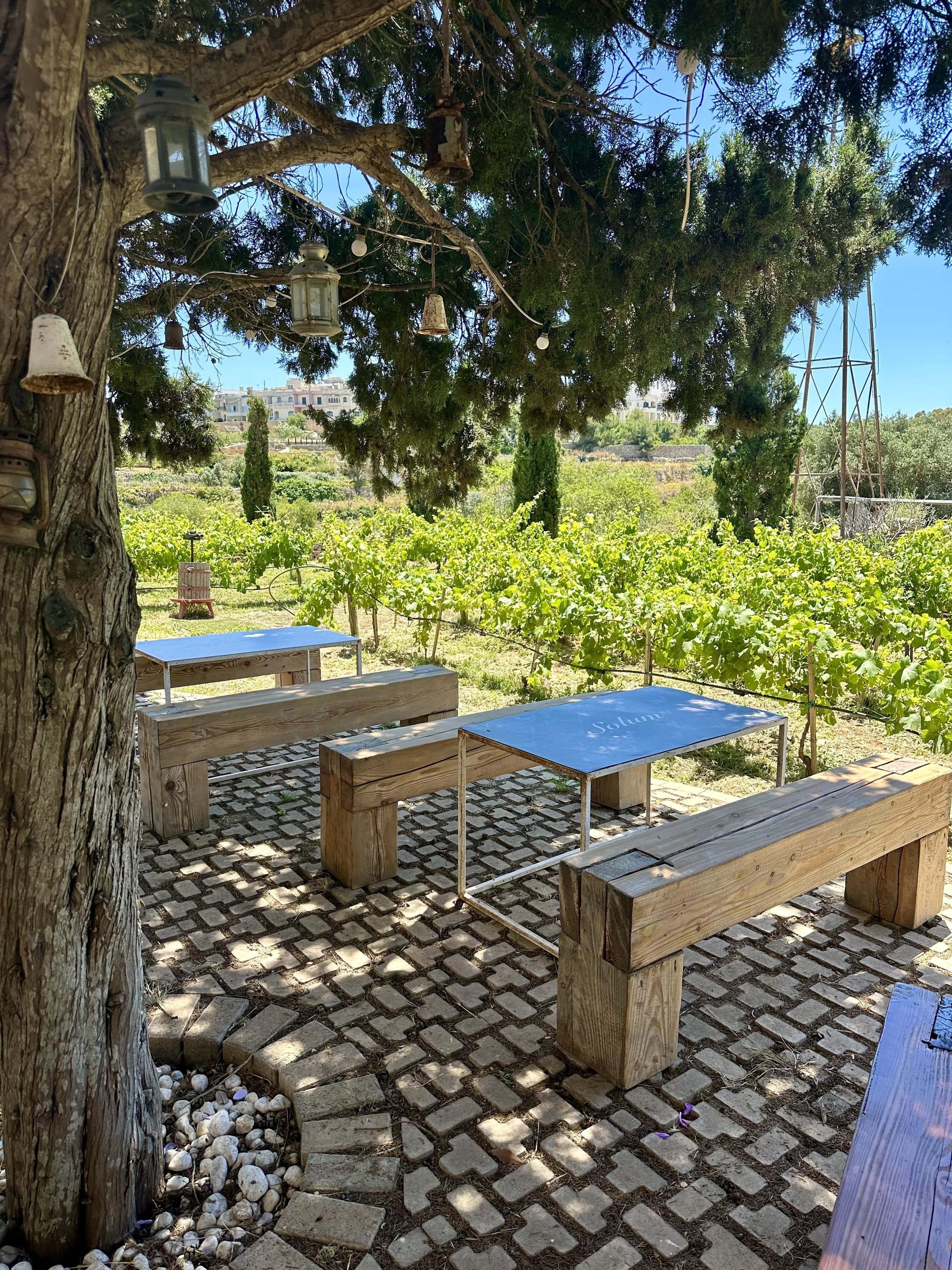 Winery 1.jpg