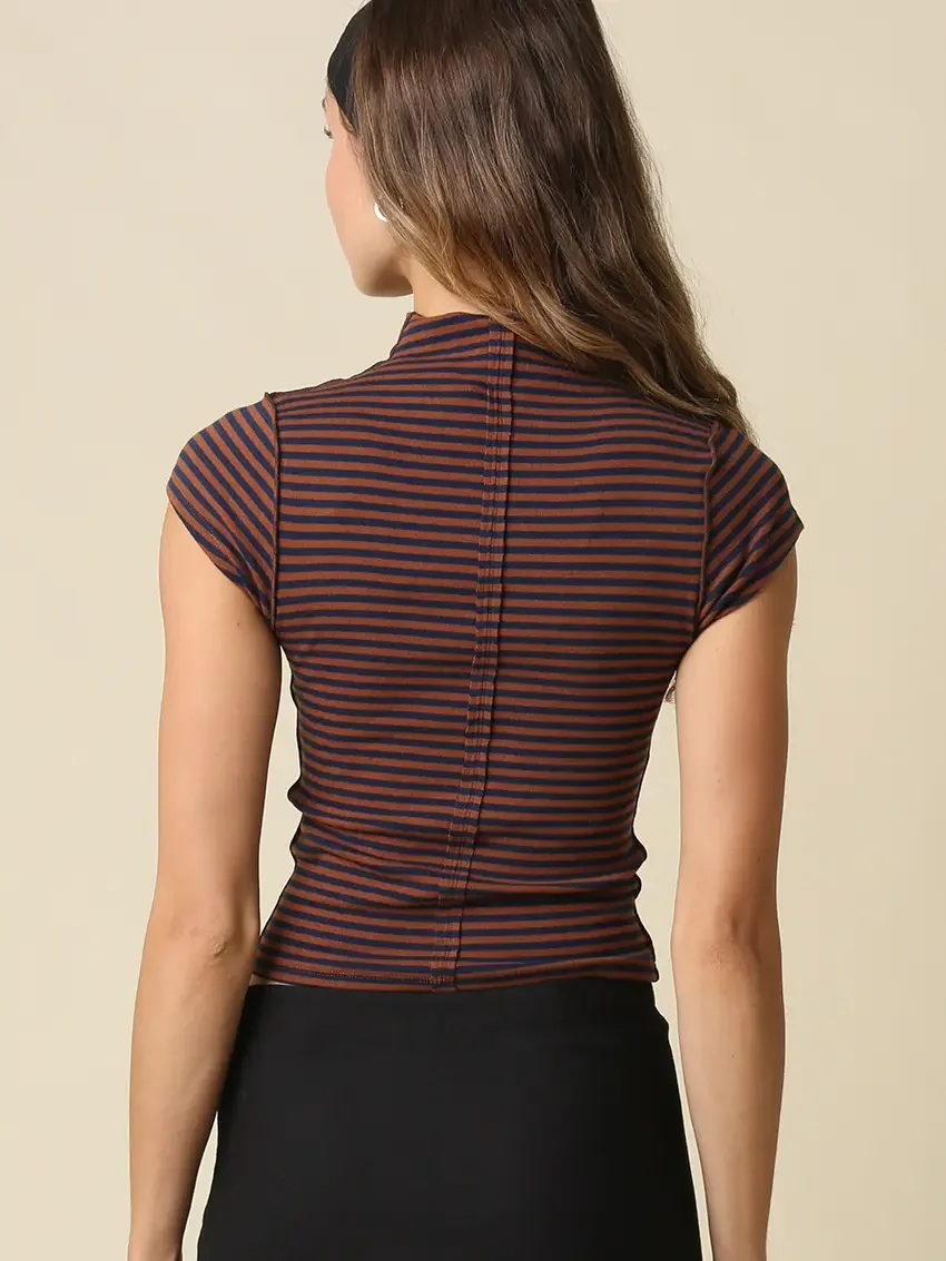 Brown Navy Stripe 2.webp