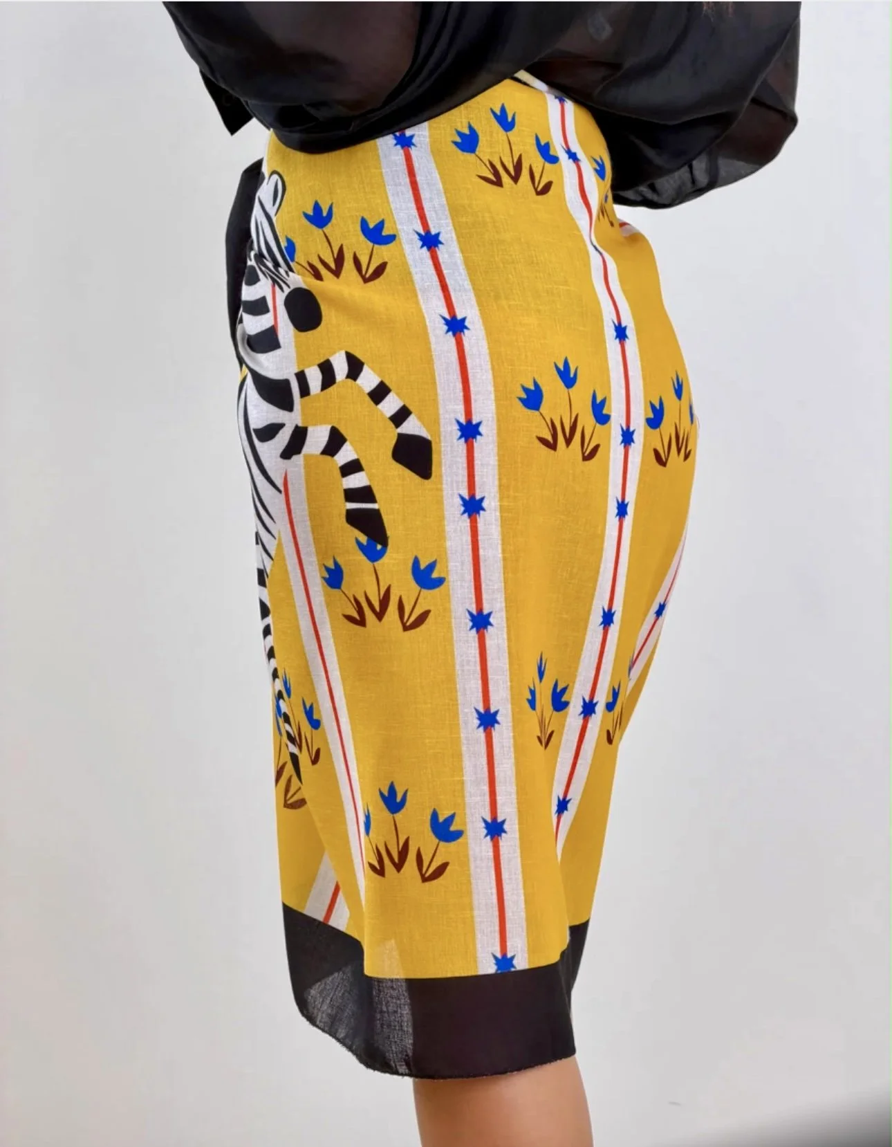 Yellow Zebra Back.jpeg