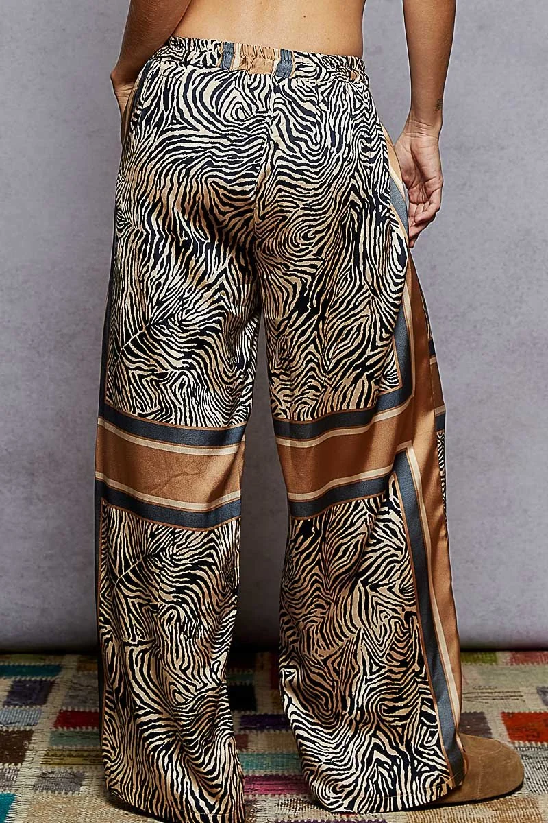 Zebra 13.jpeg