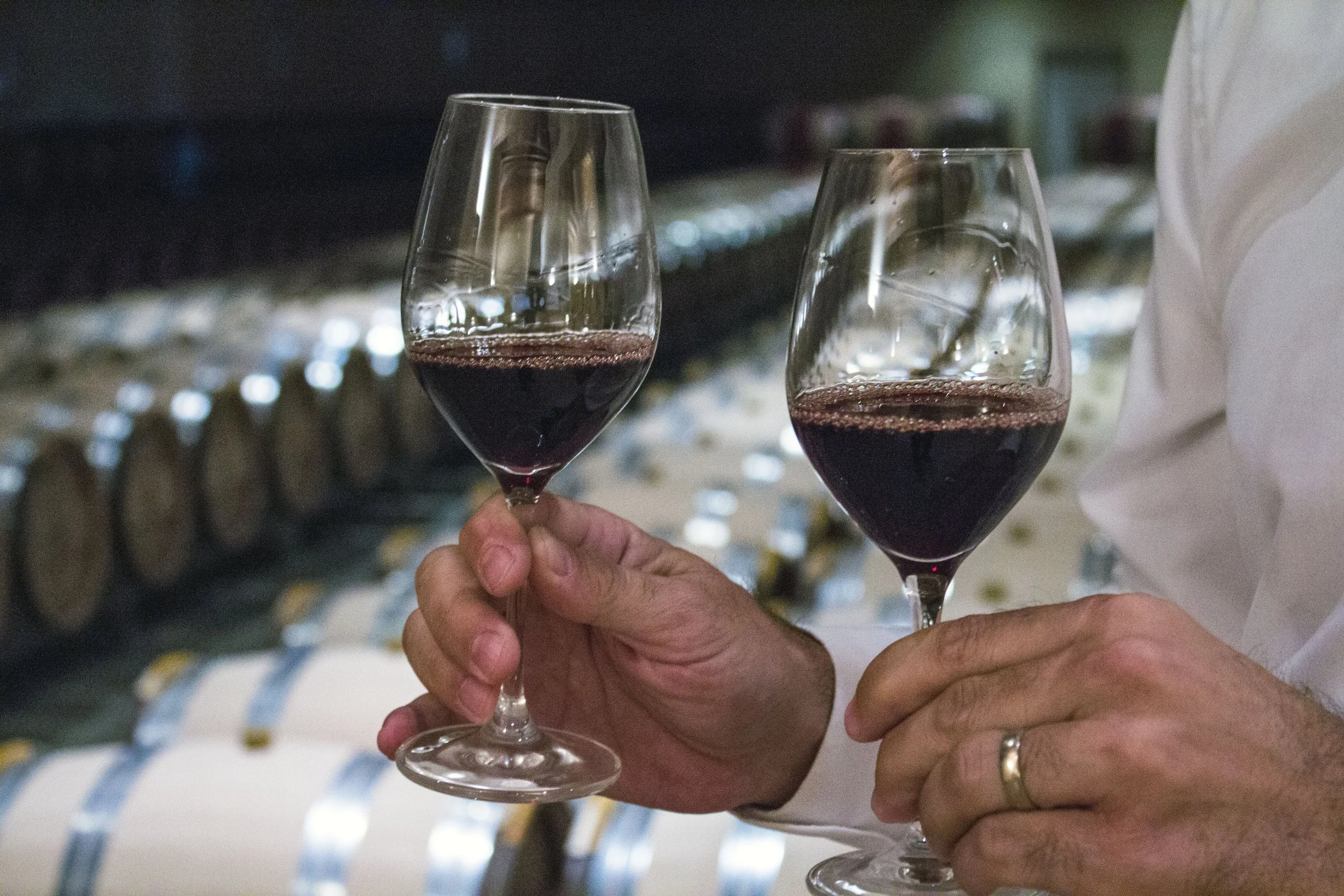 Two people holding glasses of red wine in a wine cellar with stacked barrels in the background.