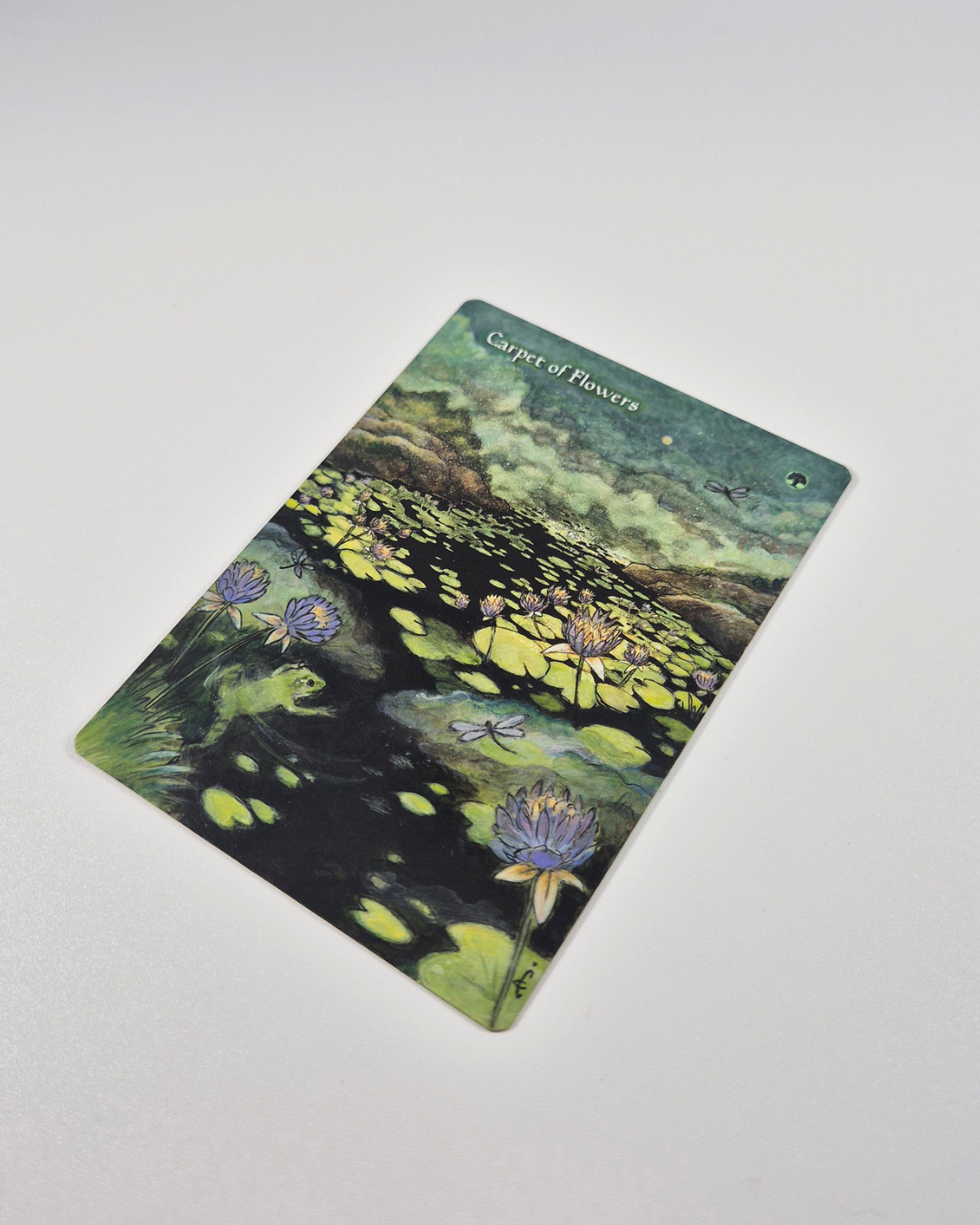 mtg-alters-carpet-of-flowers-frog-and-dragonfly-celine-combes-5.png