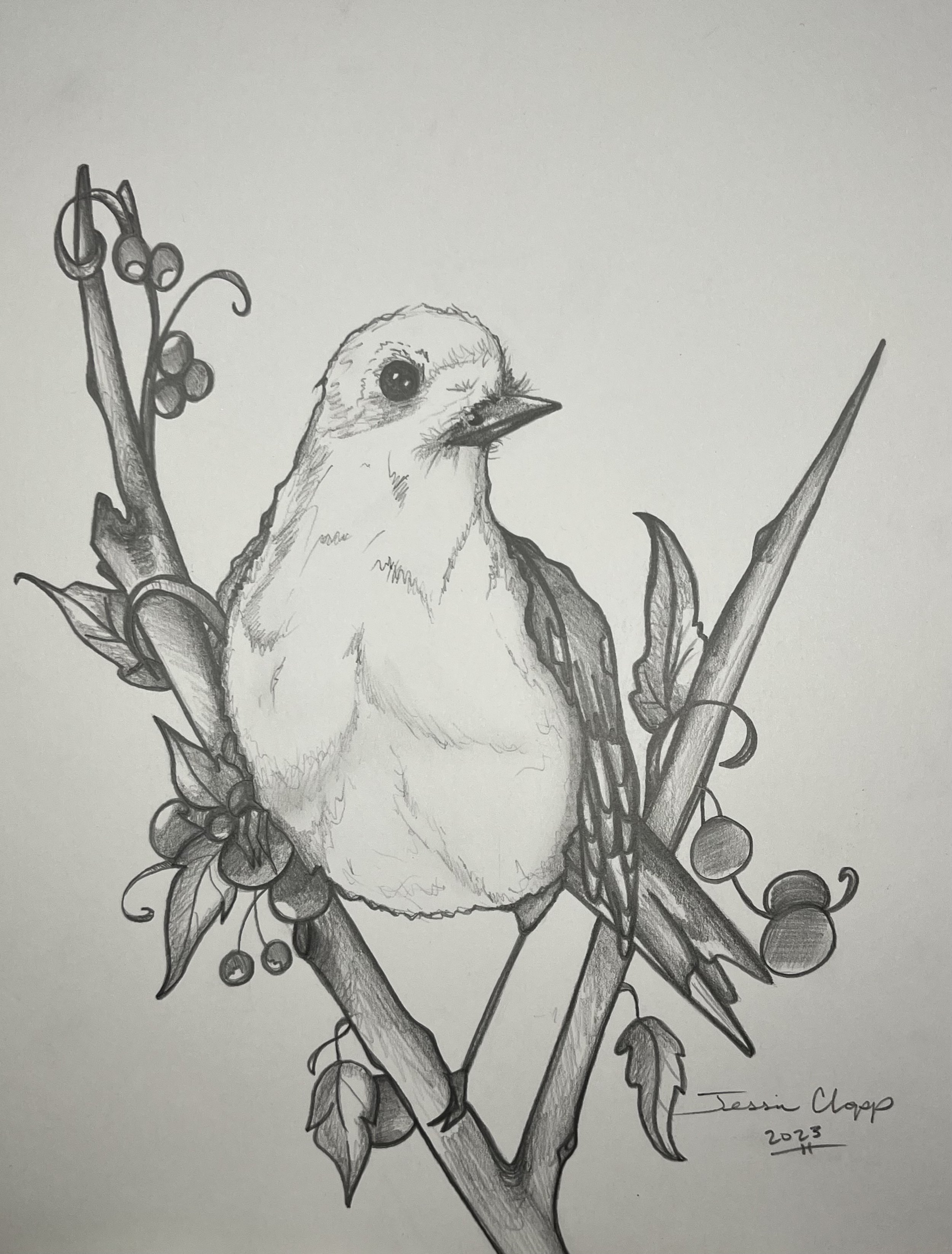 Bird with Winter Berries