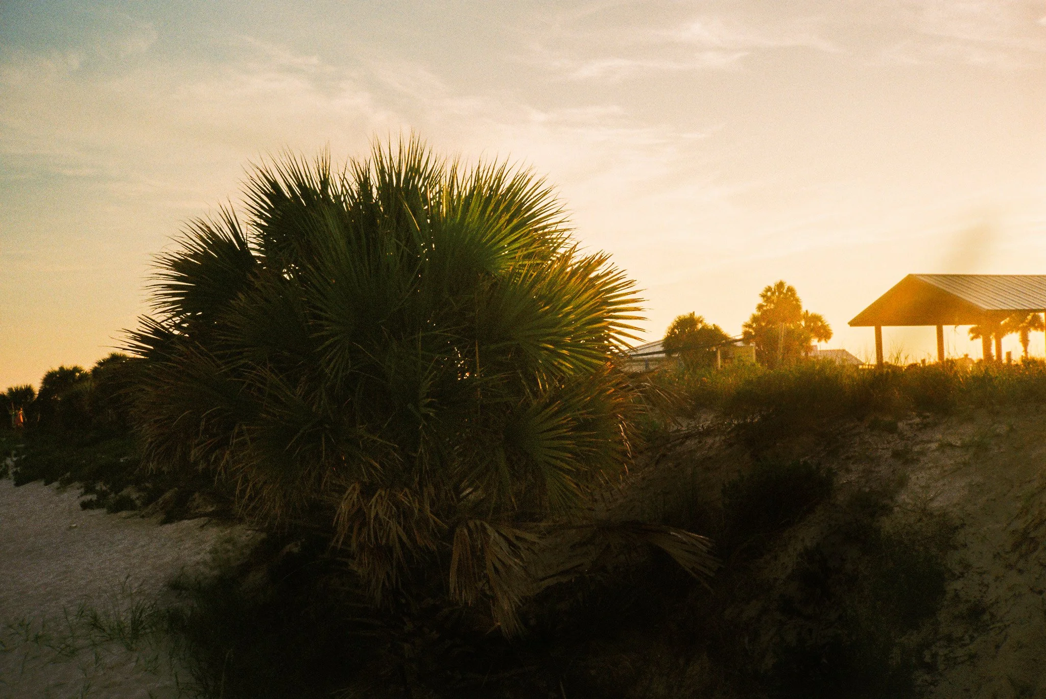 beach-6.jpg