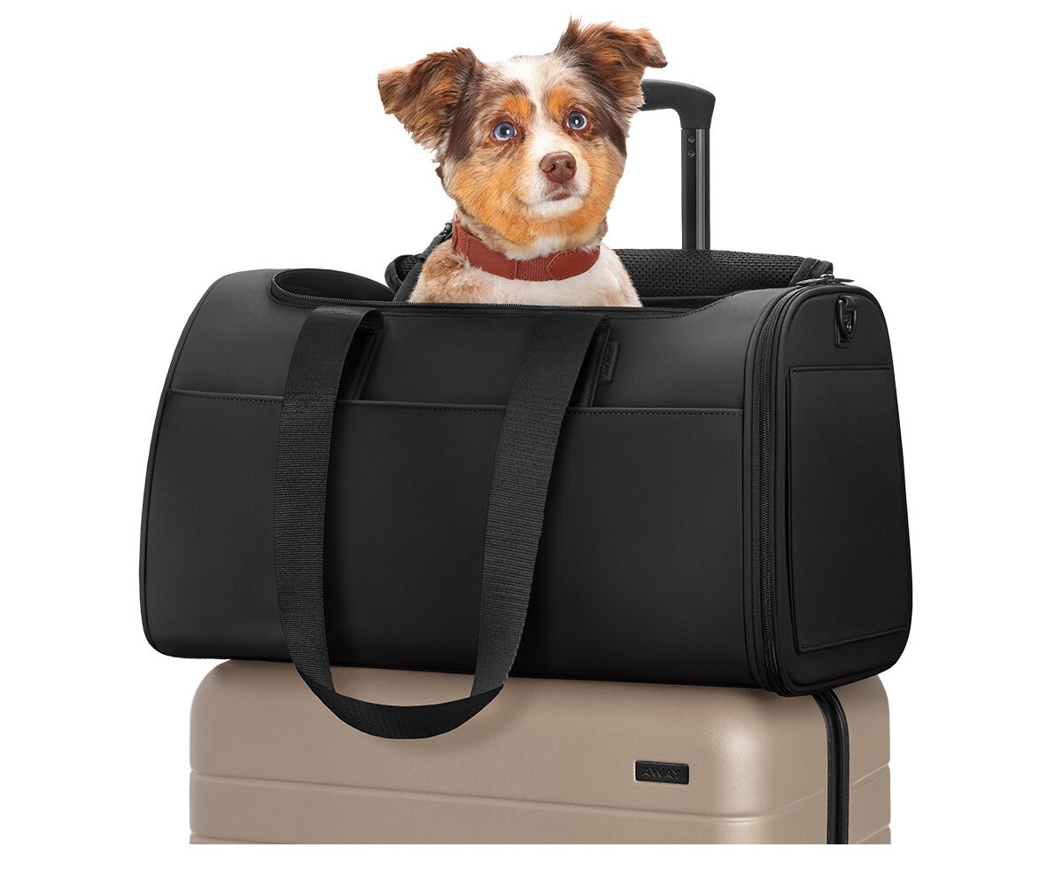 PDP_PetCarrier_Black_10.jpg
