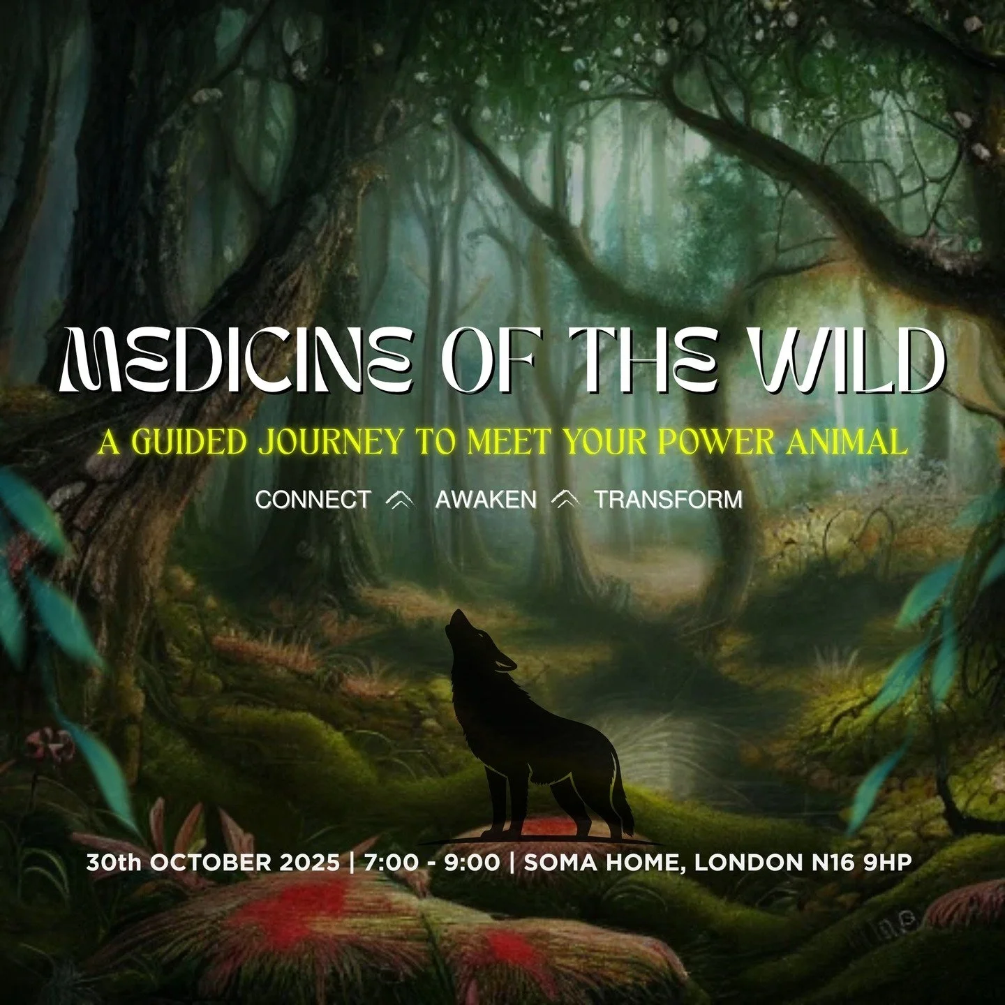 Into the wild we go!

30th October | 7PM | Soma Home London

The last few months, nature has been a constant theme - from the books I've been reading, the things i write about, engaging and viewing nature in a way i perhaps haven't done before.

Ther