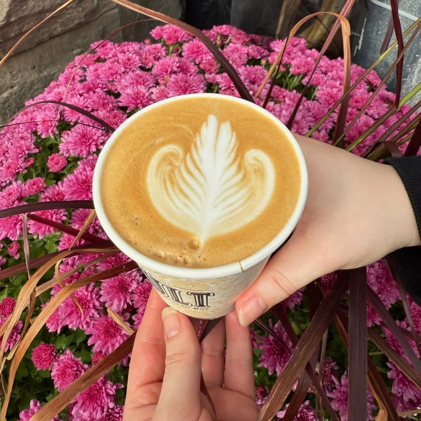 Pumpkin Pie Flat White = Fall in a cup ππΎ