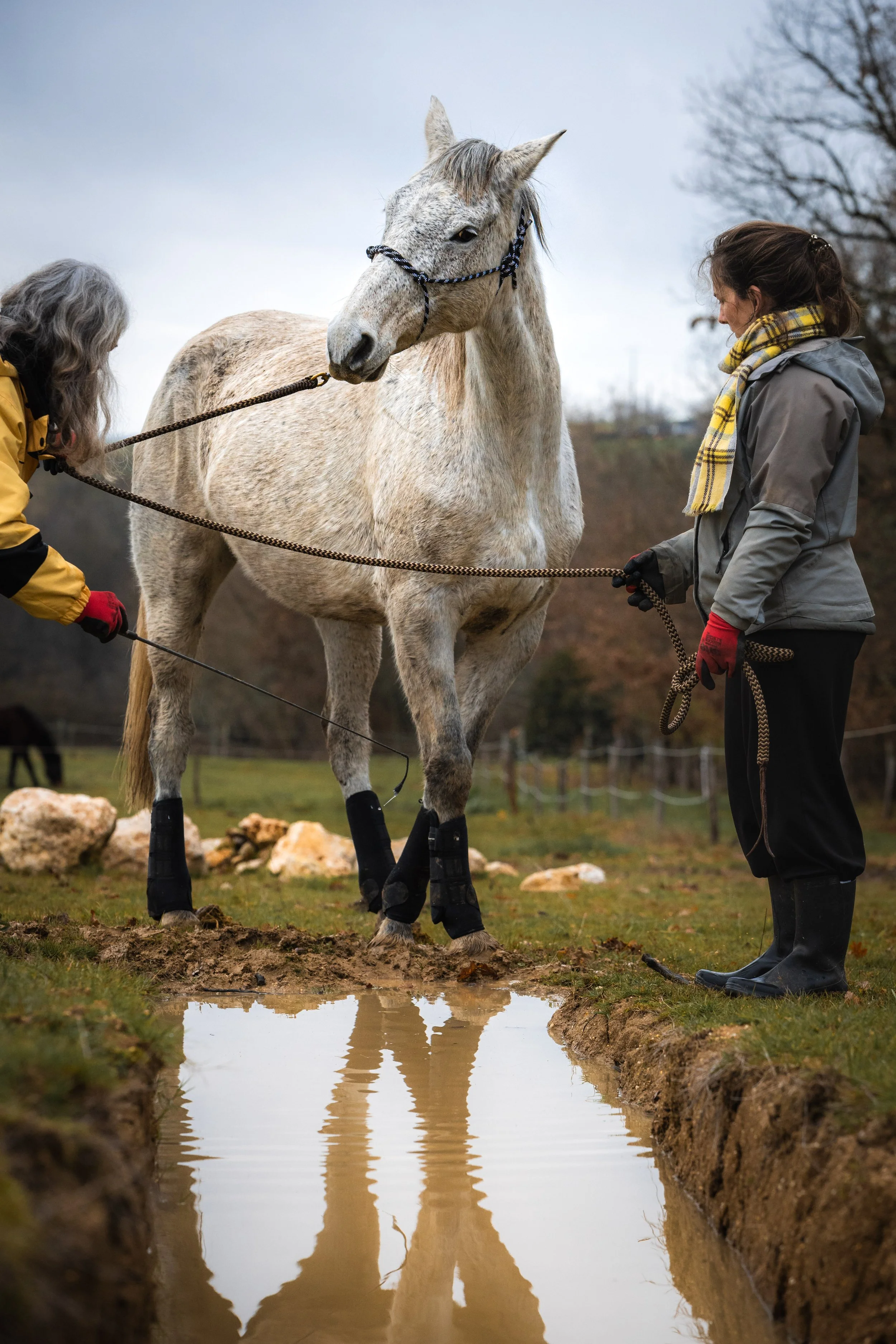 Puycornet (FRA), 2025