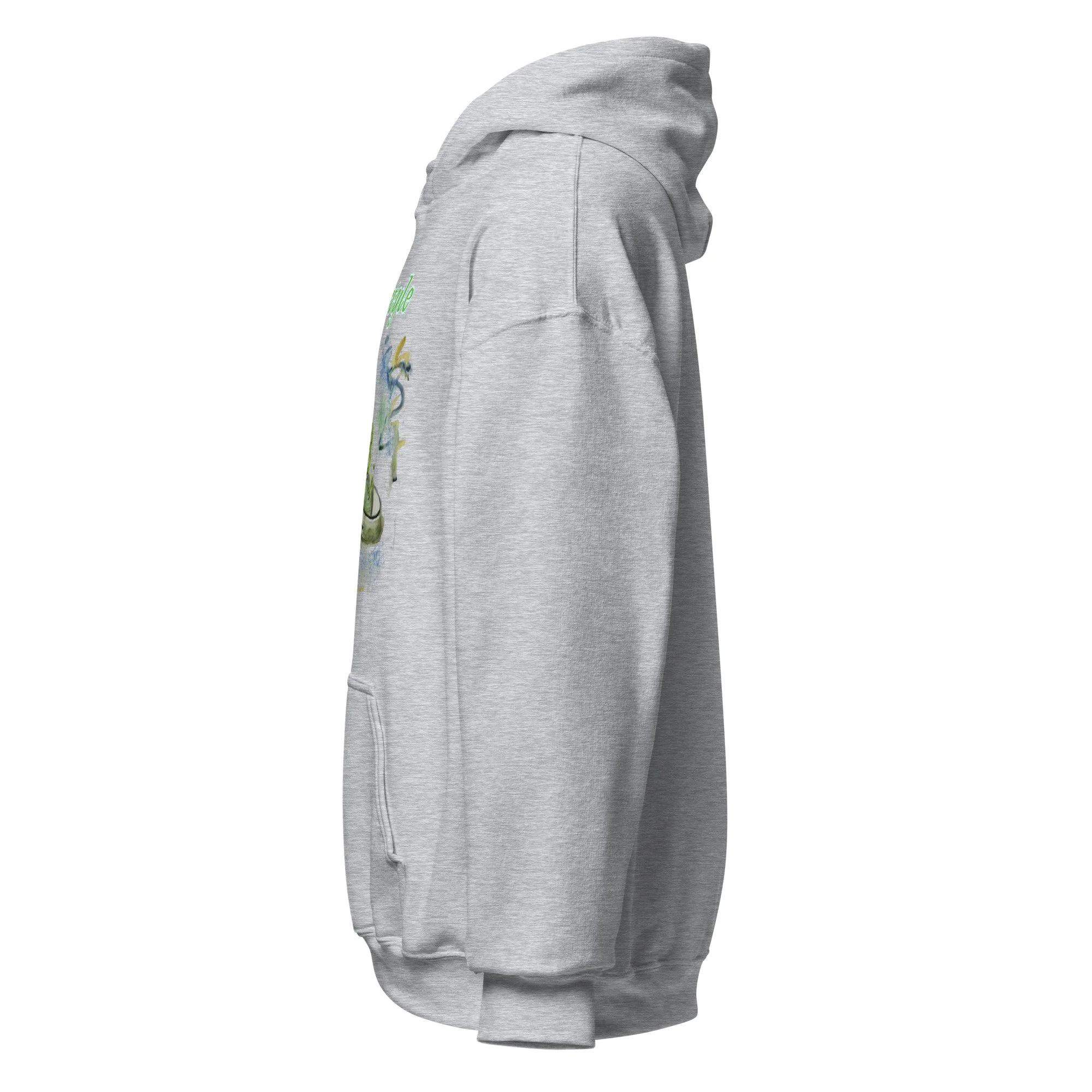 unisex-heavy-blend-hoodie-sport-grey-left-69b08a5881364.jpg