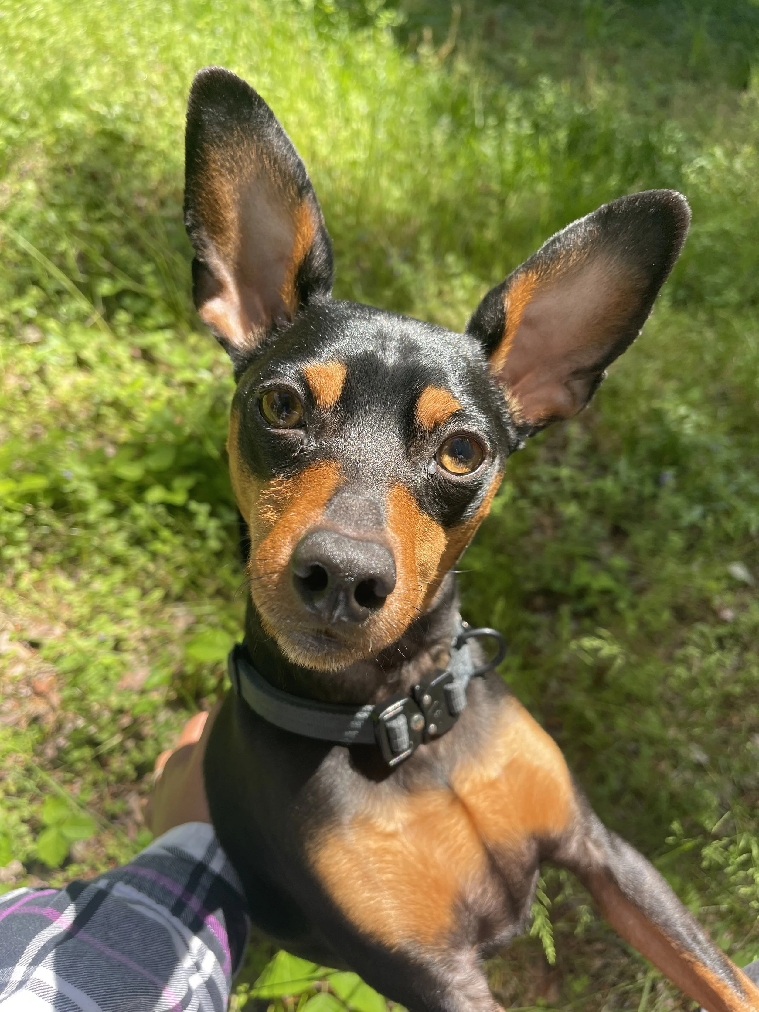 IMG_2832.jpg