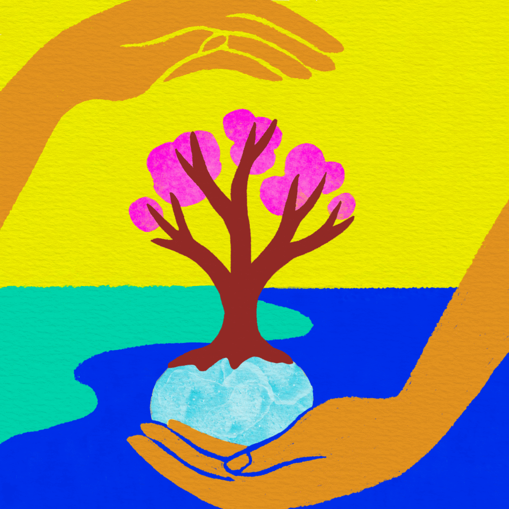 Soins énergétiques par Claire Maoui — Arbre de vie tenu par des mains bienveillantes, symbole d'enracinement et de transformation