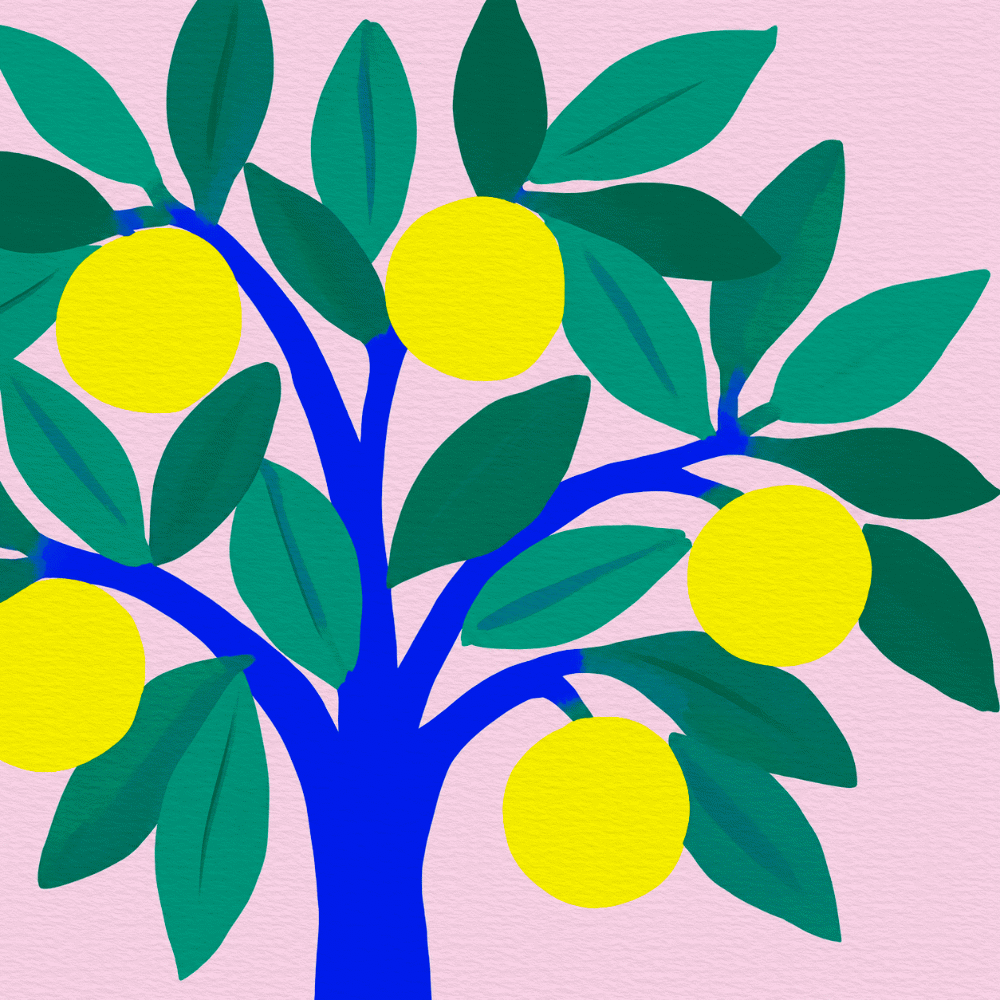 Citronnier bleu aux fruits jaunes, programme SHIFT coaching énergétique Claire Maoui