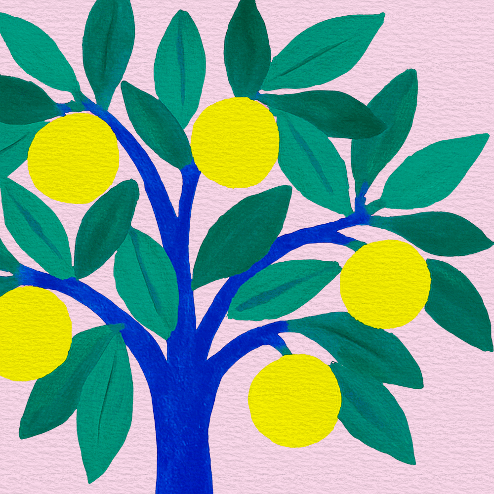 Coaching énergétique avec Claire Maoui — Citronnier symbolisant l'énergie qui porte ses fruits