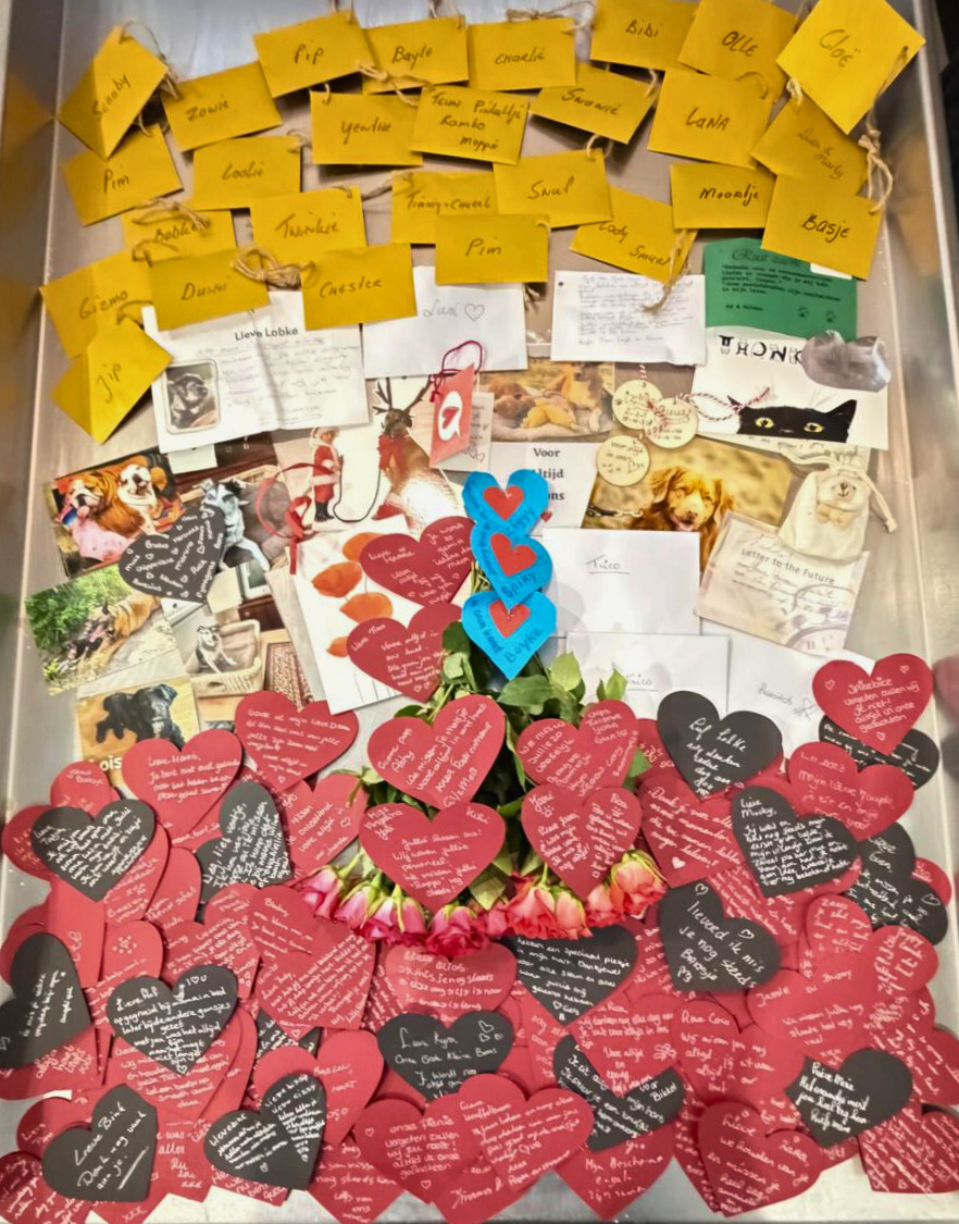 Symbolische crematie lichtjes avond 2025