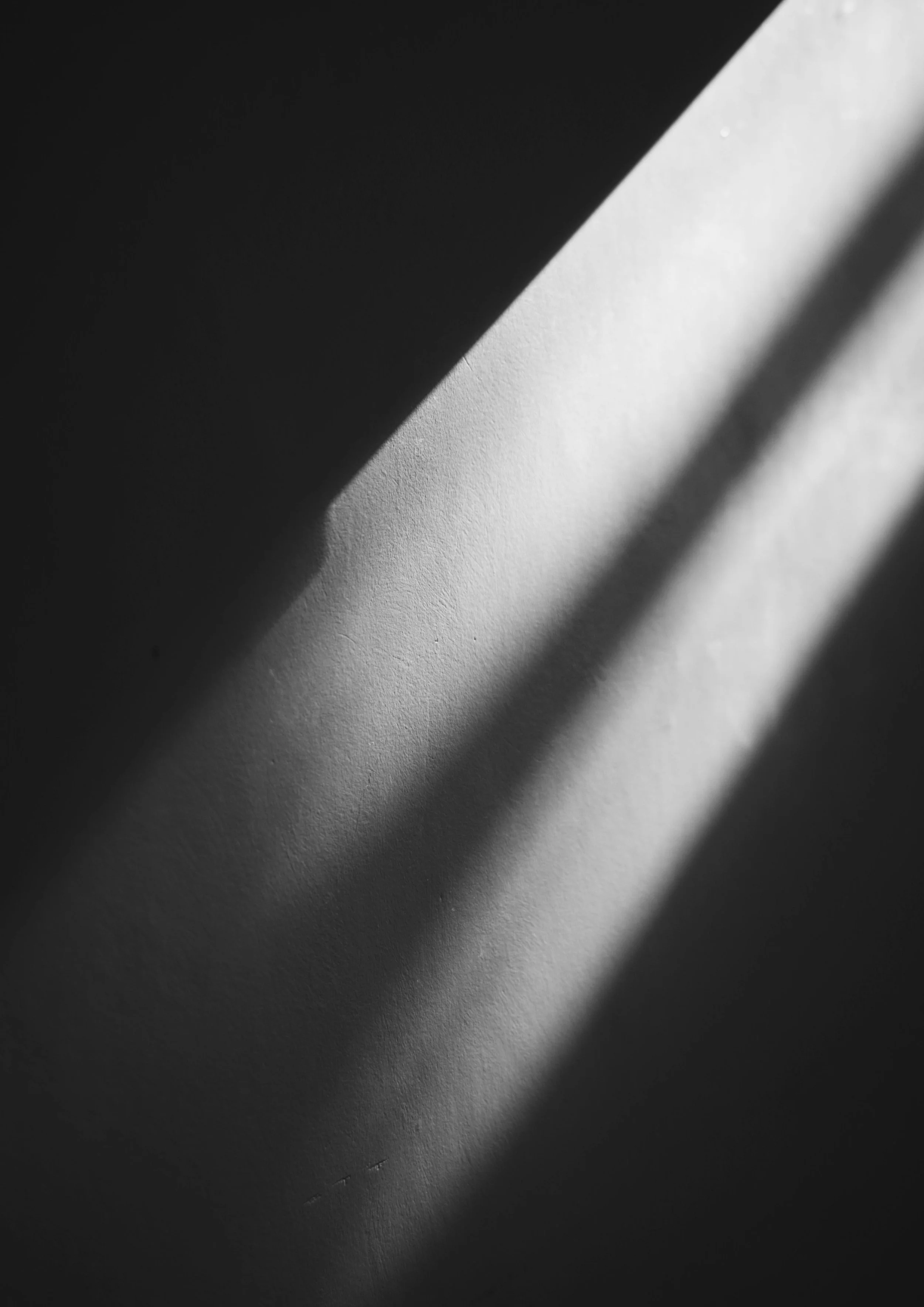 Black and white photo of sunlight casting shadows on a textured wall.