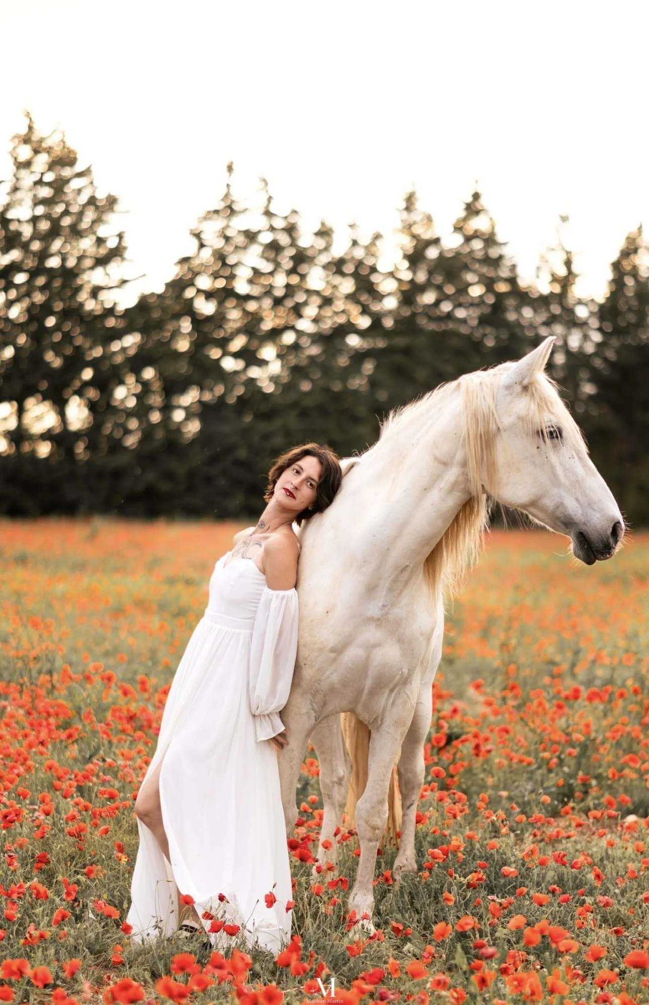 Une femme en robe blanche cassant les épaules dans un champ de coquelicots, avec un cheval blanc à ses côtés, lors d'un coucher de soleil.