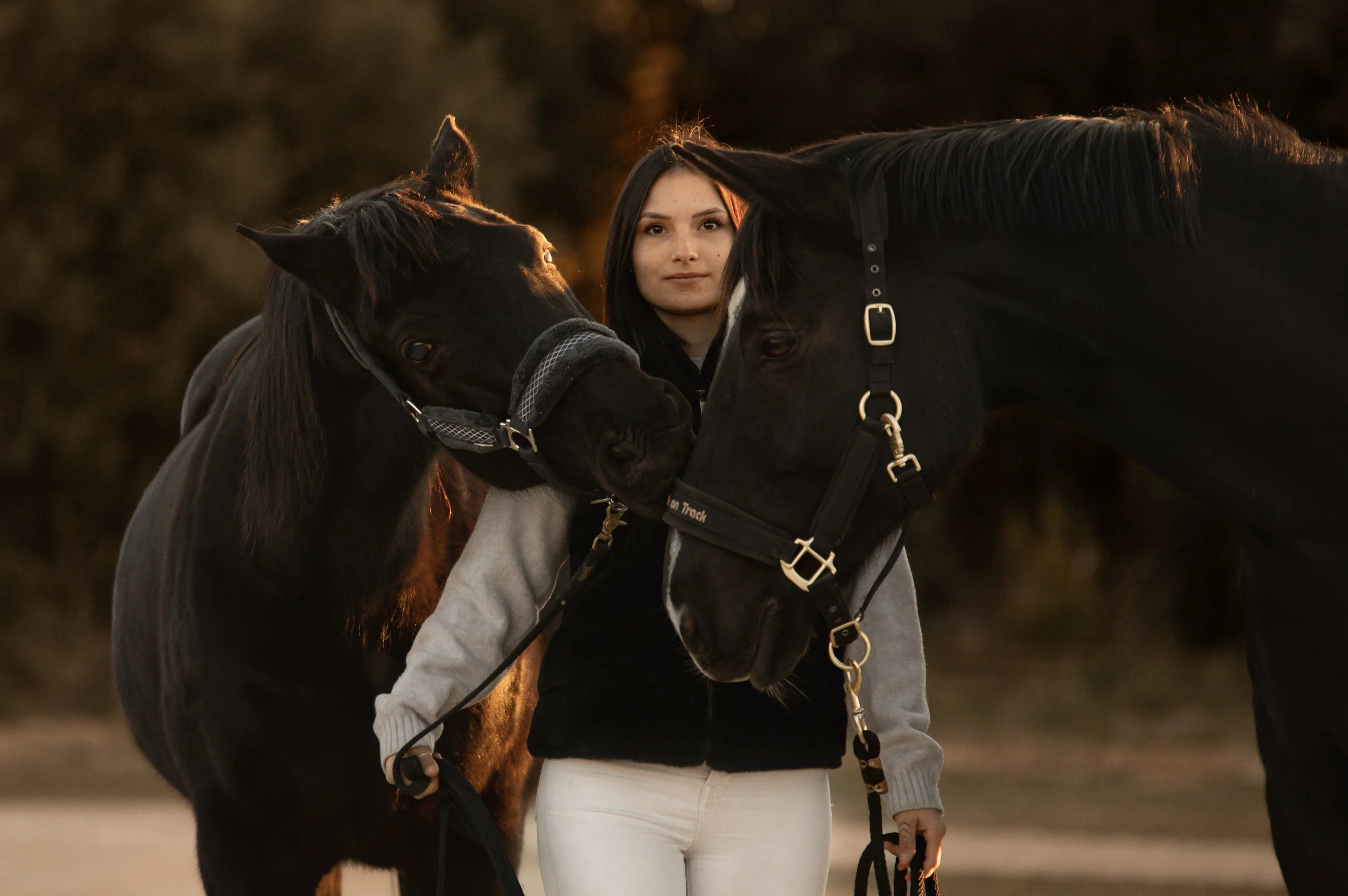 Une jeune femme tient deux chevaux noir, se tenant entre eux, lors d'un coucher de soleil en plein air.
