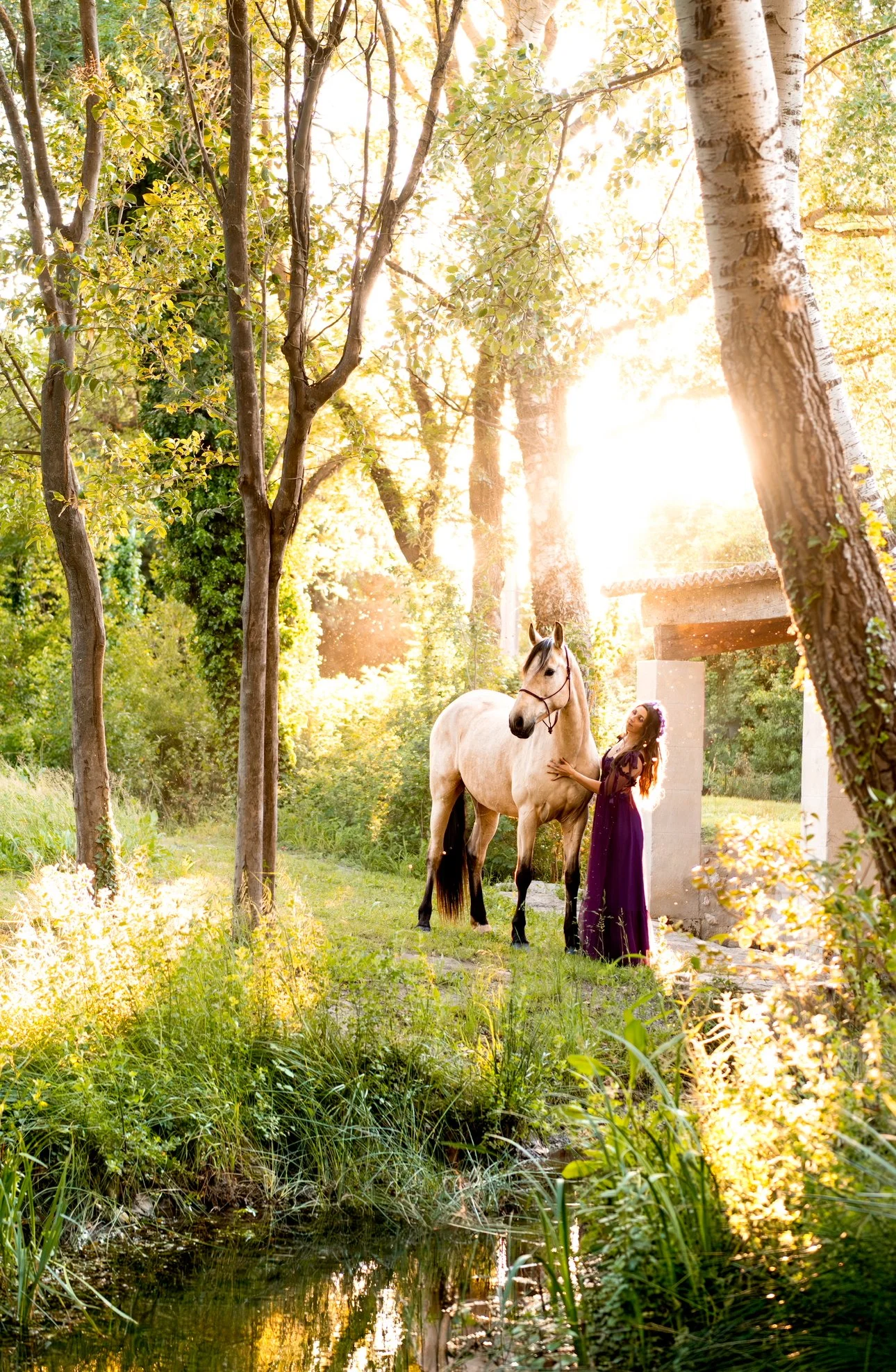Une femme en robe violette se tient près d'un cheval beige dans un environnement forestier ensoleillé, avec des arbres et un petit étang en premier plan.