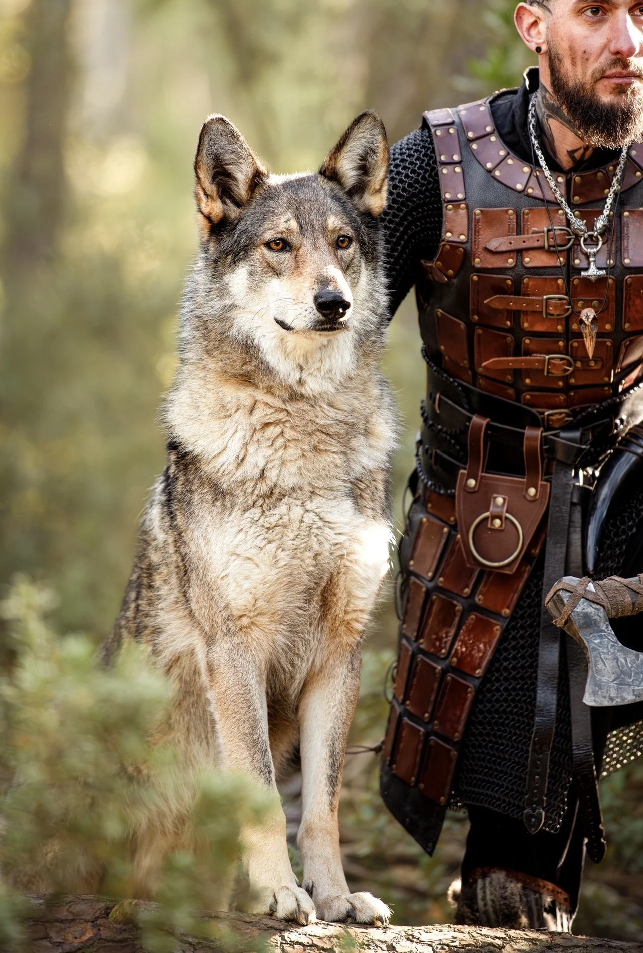 Un homme avec une équipe de costume en cuir et métal à côté d'un loup dans une forêt.