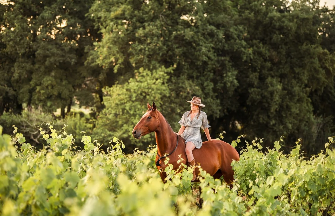 Une femme habillée d'une robe gris clair et portant un chapeau en paille monte à cheval dans un champ de vignes avec un grand arbre en arrière-plan.