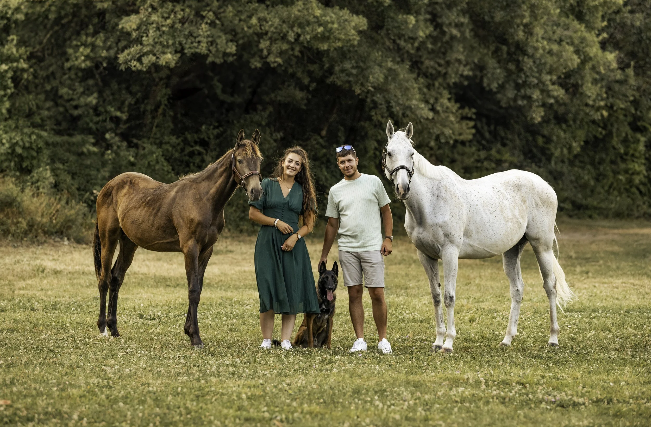 Un couple avec leur chien, entourés de deux chevaux, en plein air dans un champ avec des arbres en arrière-plan.