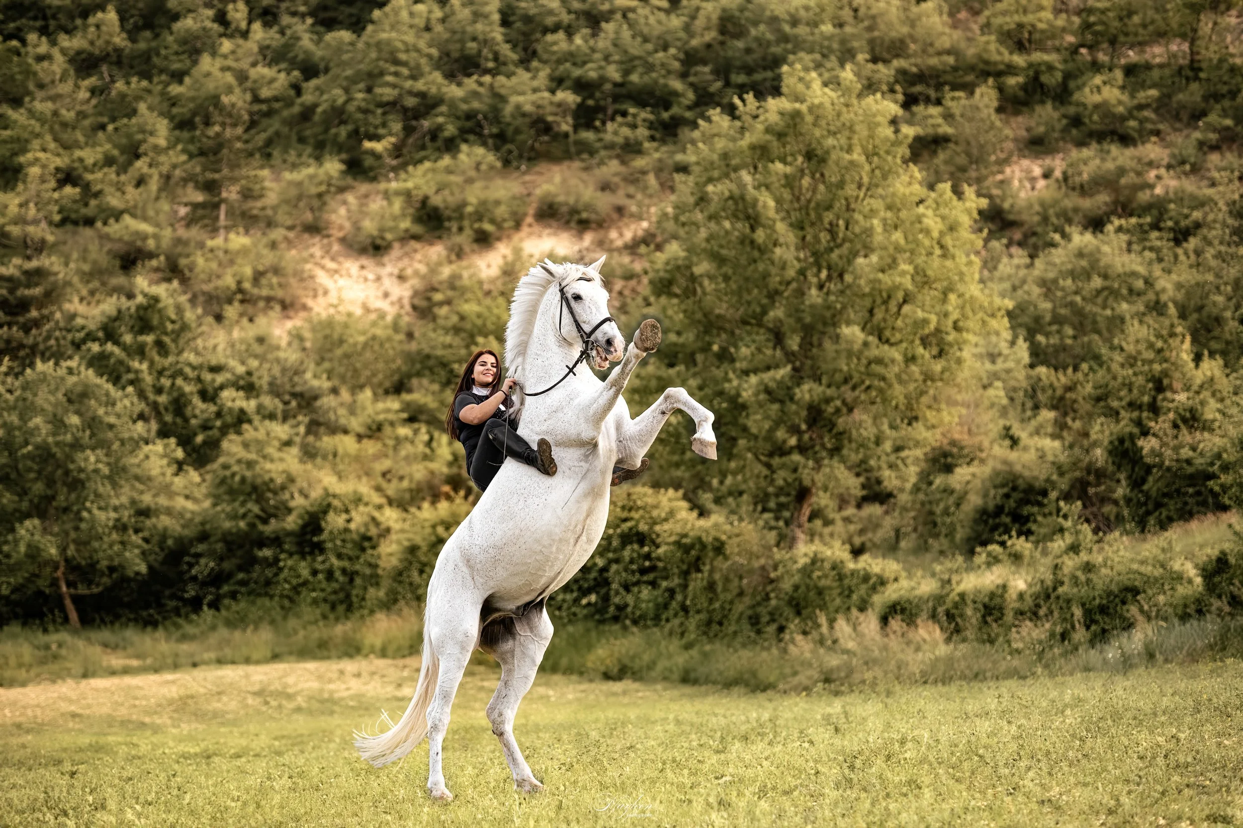 Une femme en noir à cheval sur un cheval blanc qui se dresse sur ses pattes arrière dans un champ avec des arbres en arrière-plan.