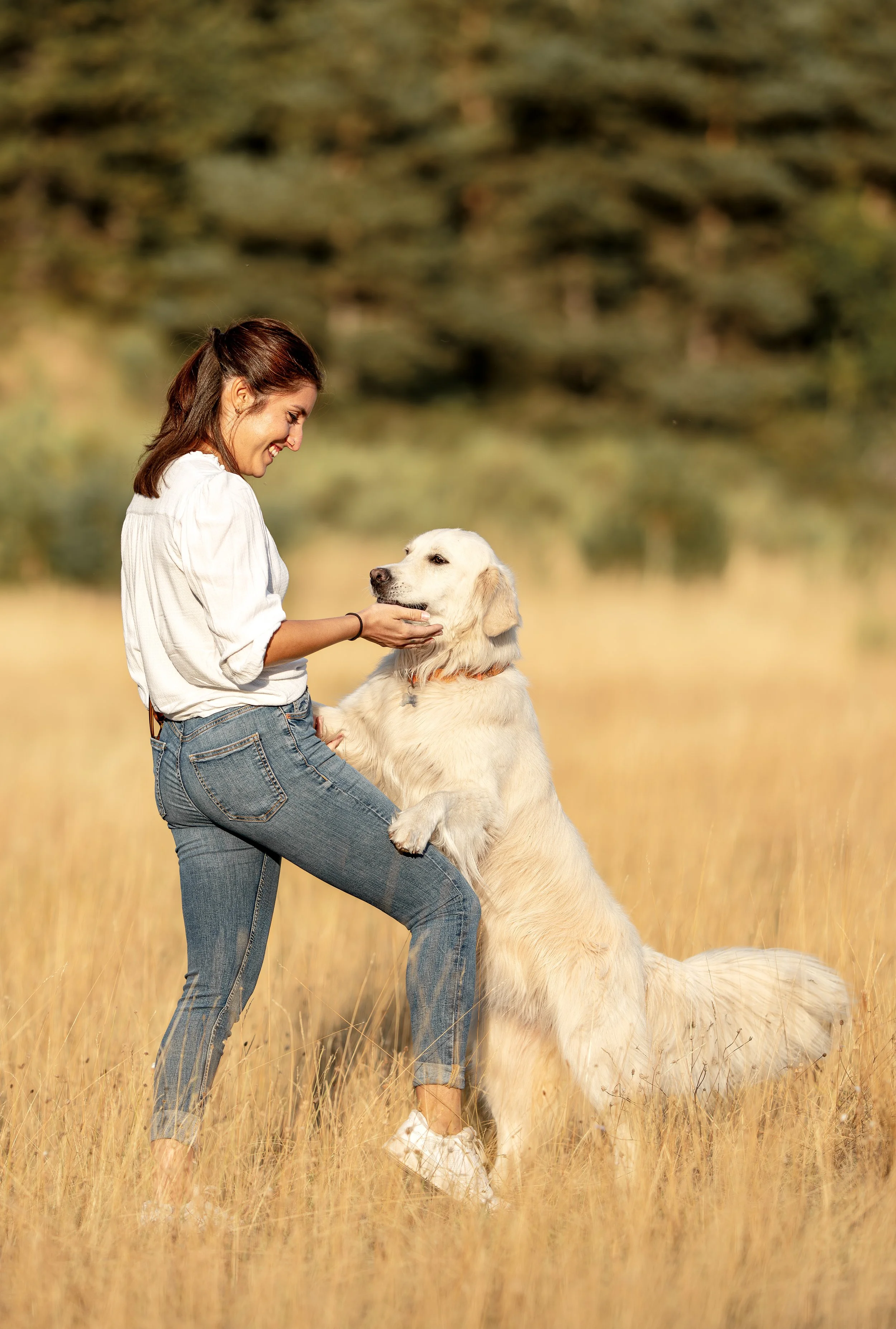Une femme souriante joue avec un chien de grande taille dans un champ en été.