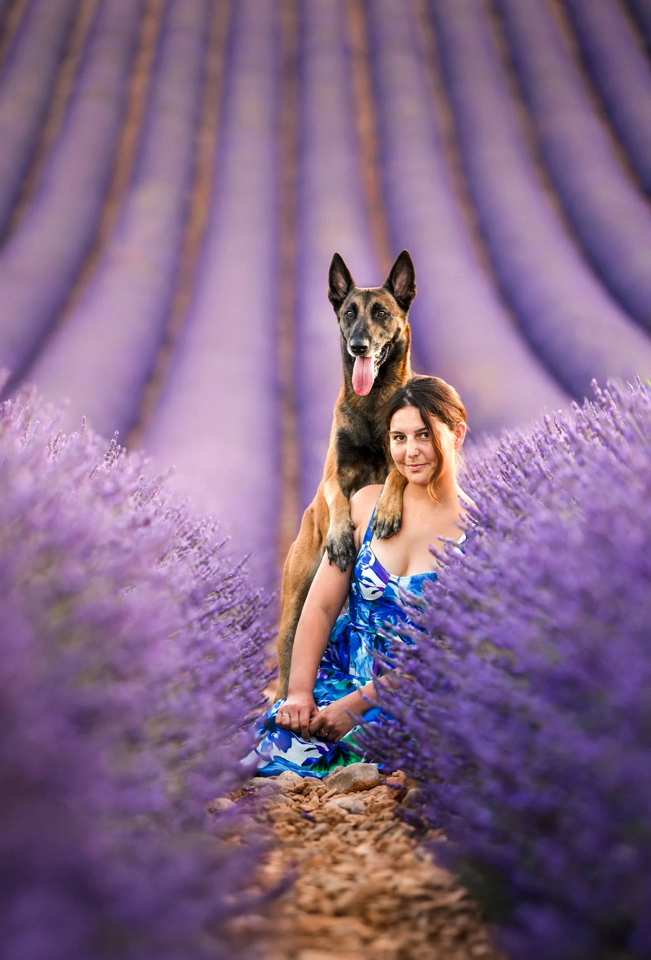 Une femme en robe bleue dans un champ de lavande avec un chien de grande taille à ses côtés.