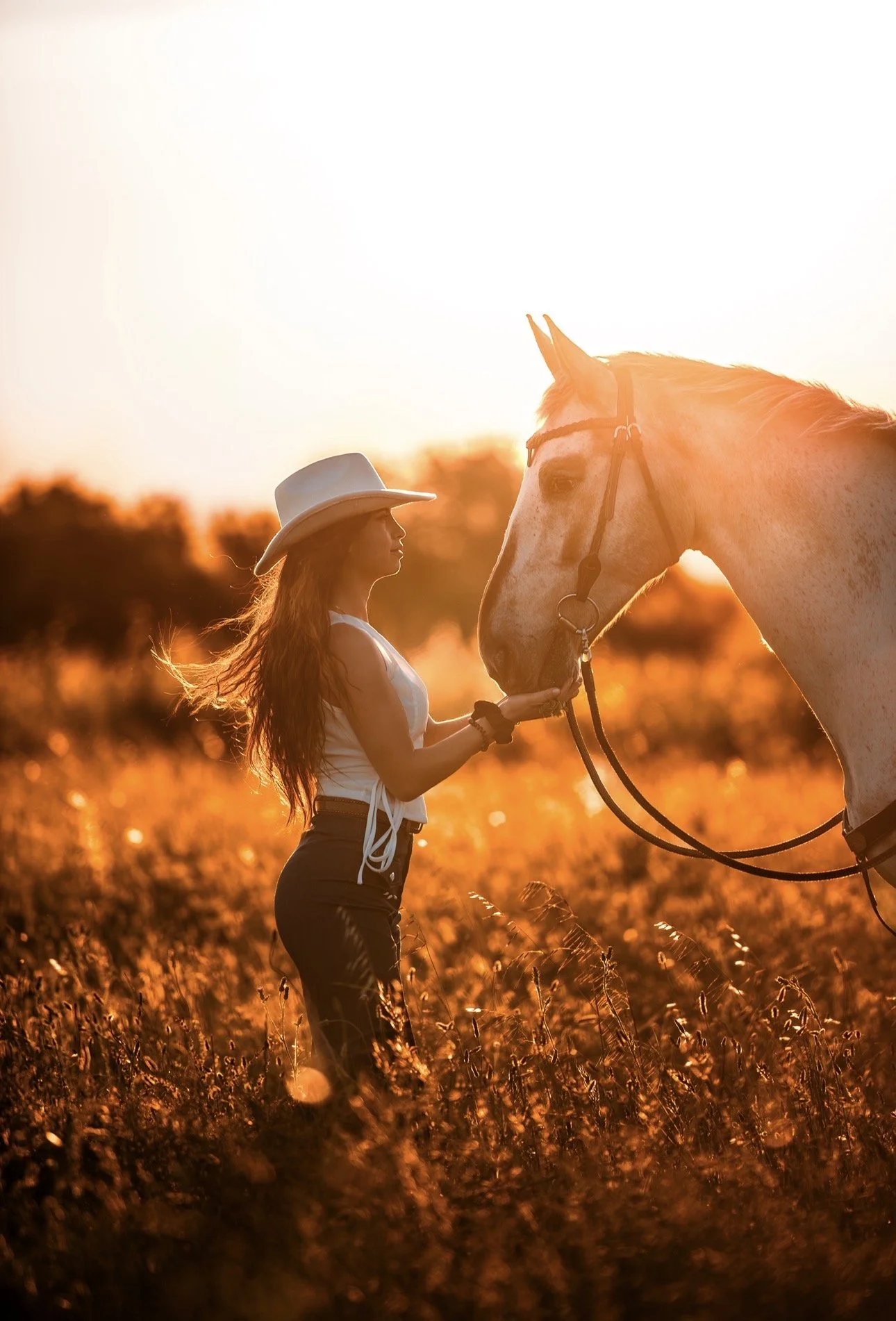 Une femme avec un grand chapeau blanc se tient dans un champ au coucher du soleil, touchant la museau d'un cheval blanc.