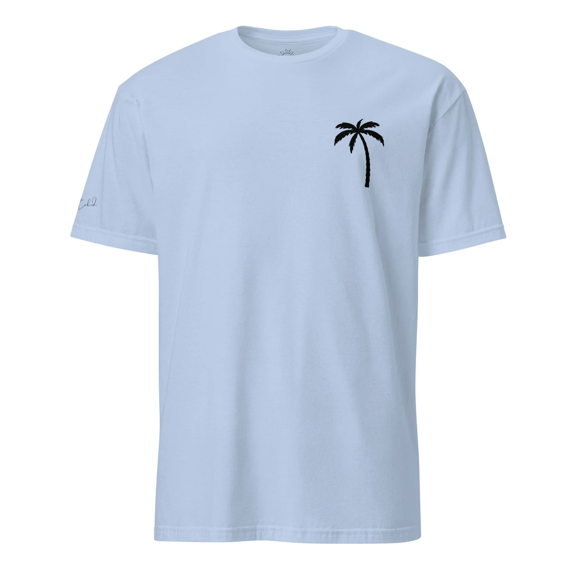 unisex-basic-softstyle-t-shirt-light-blue-front-67e07b75e9519.jpg