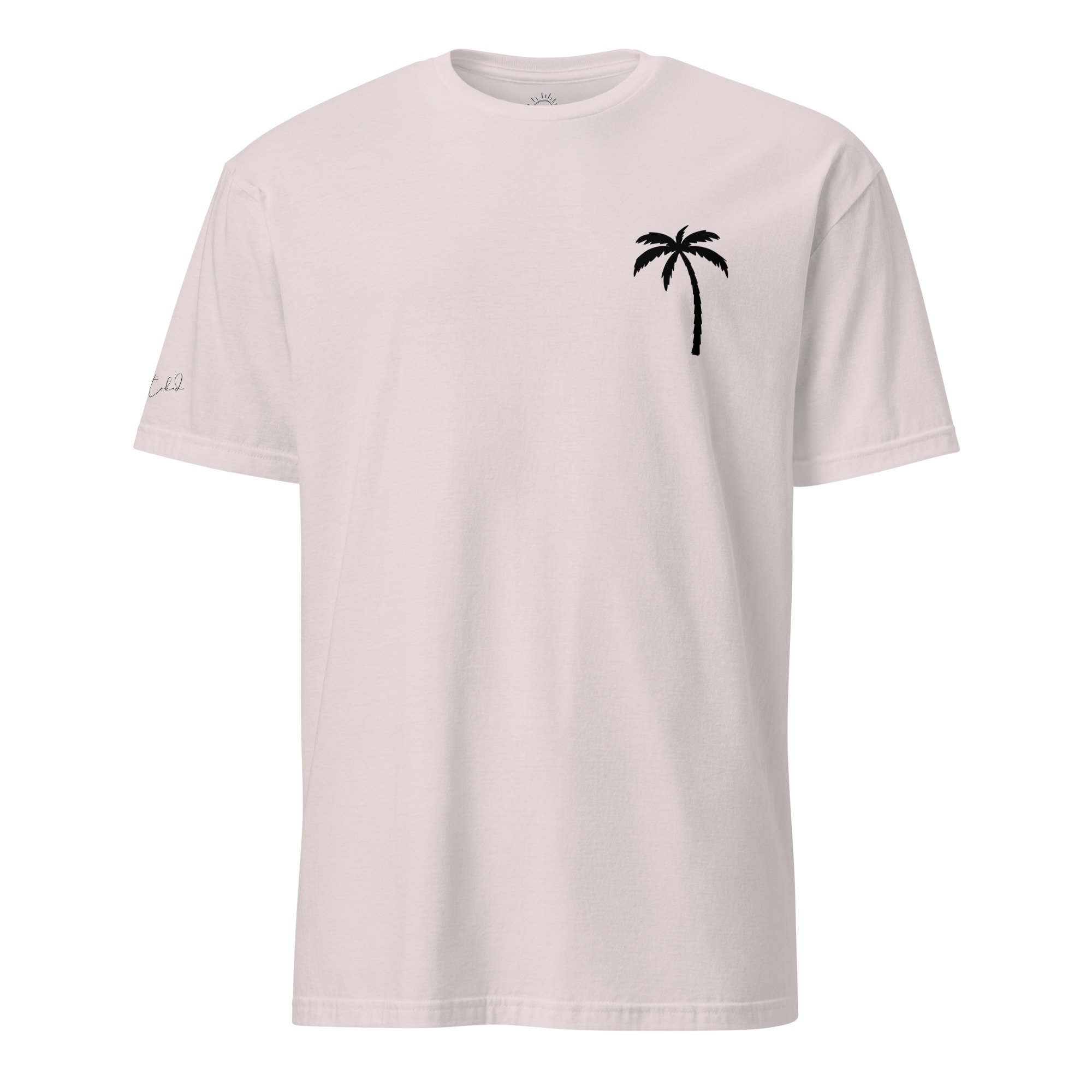 unisex-basic-softstyle-t-shirt-ice-grey-front-67e07b762a4f2.jpg