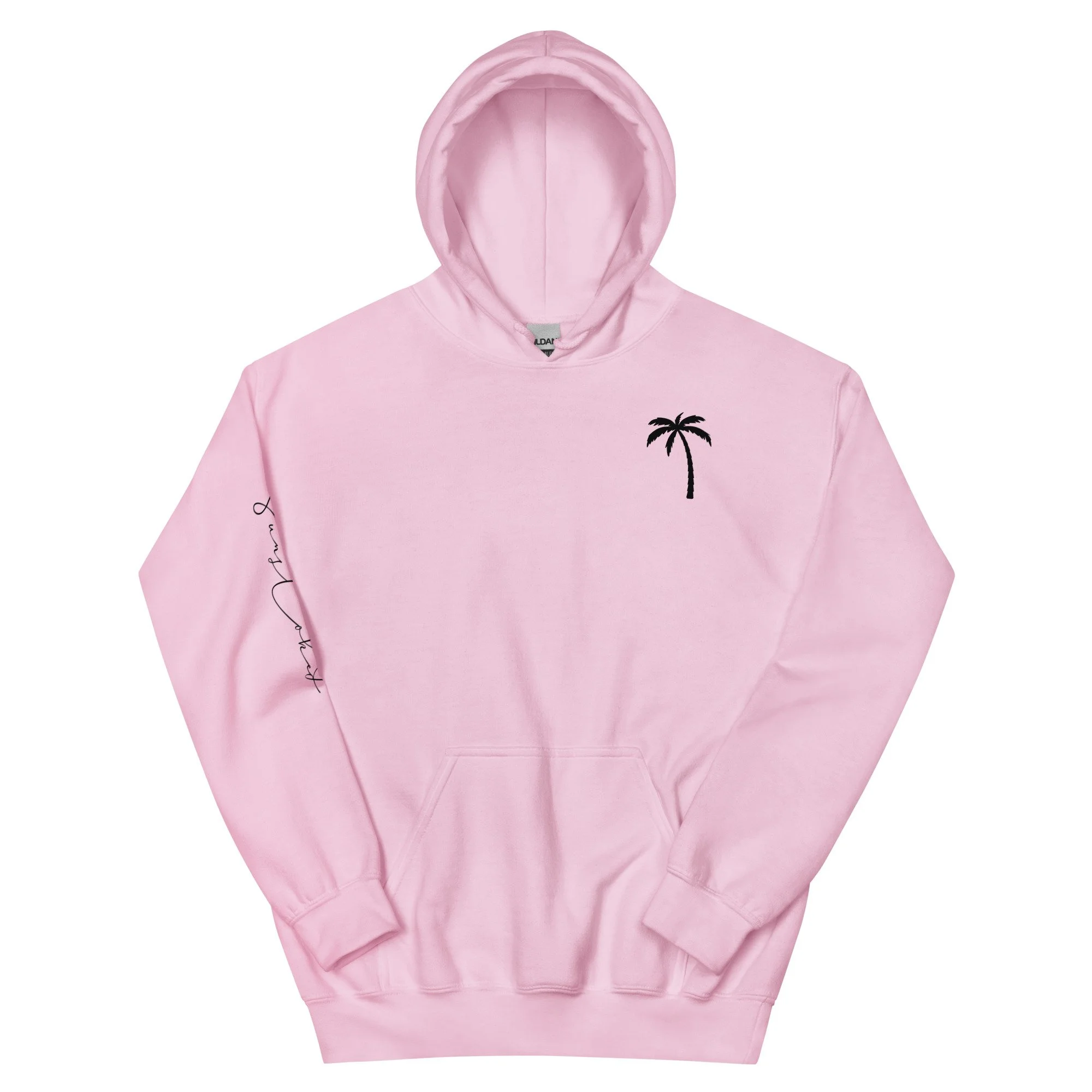 unisex-heavy-blend-hoodie-light-pink-front-67e16367d8e6e.jpg
