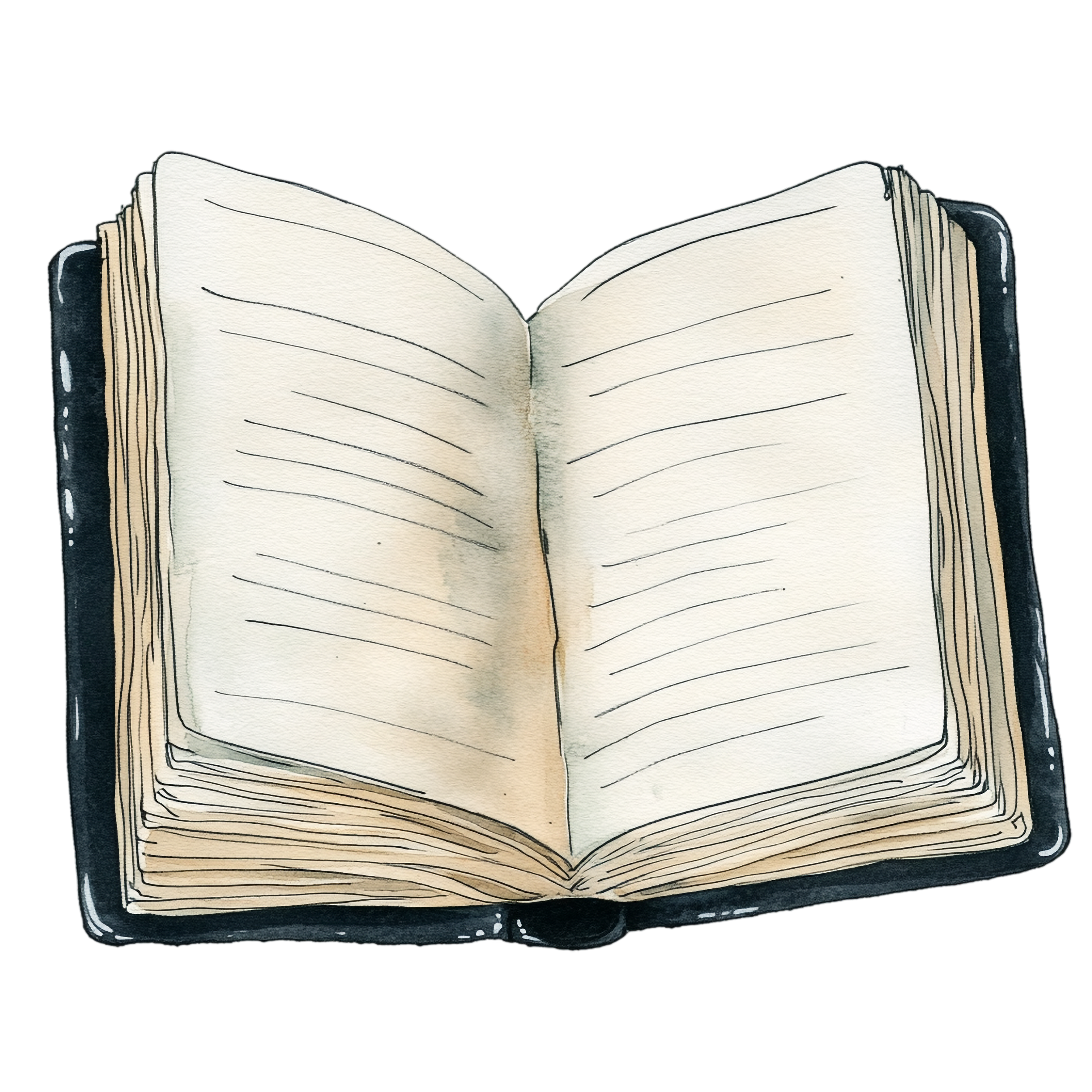 Drawing of an open book.
