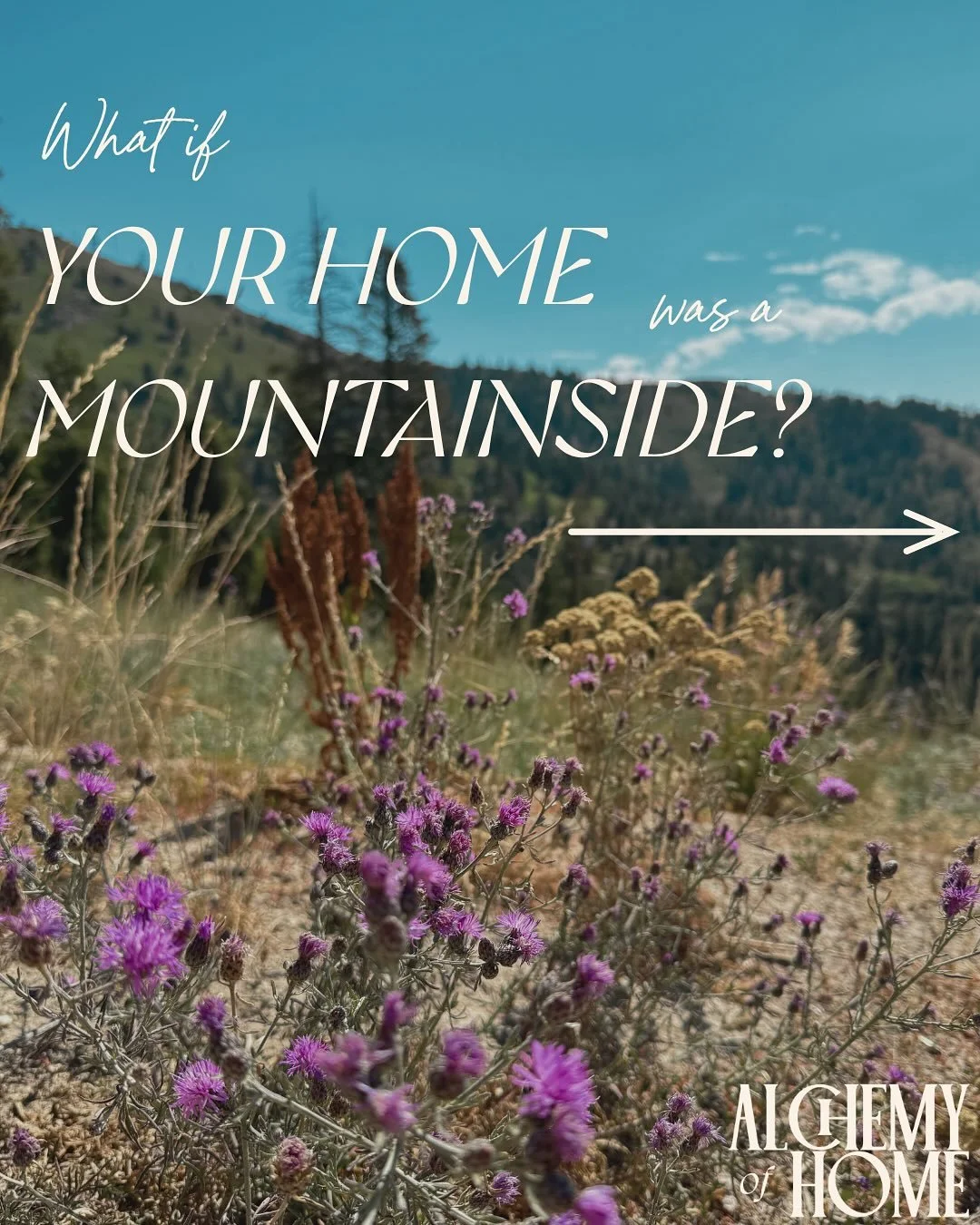 Your home should be your escape and sanctuary. You&rsquo;ve probably tried a million times to translate what&rsquo;s in your head to what&rsquo;s in your home, but without a framework and support, it can be so overwhelming. 

That&rsquo;s why I devel