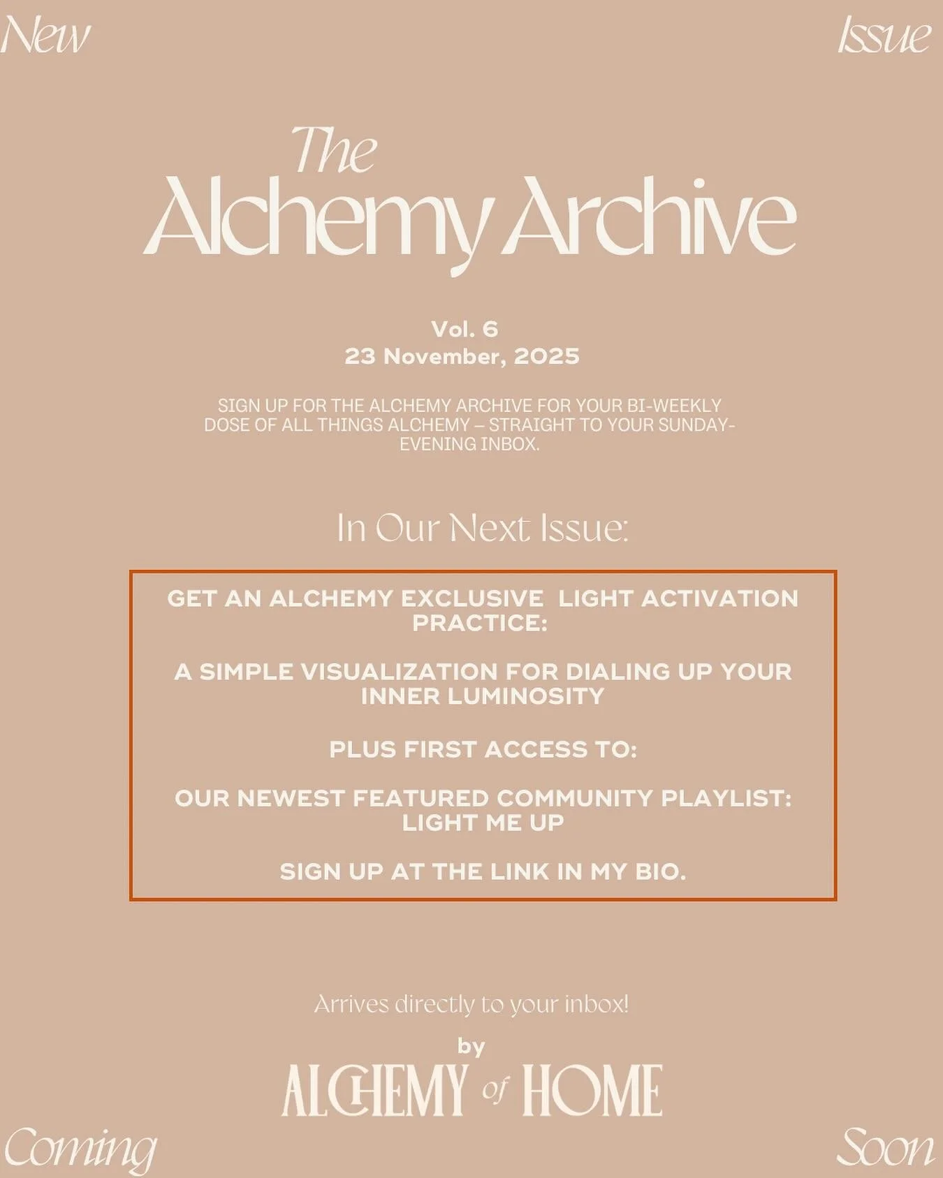 Are you in the archives yet? 

Sign up and get your clearing space guide in my bio 💖