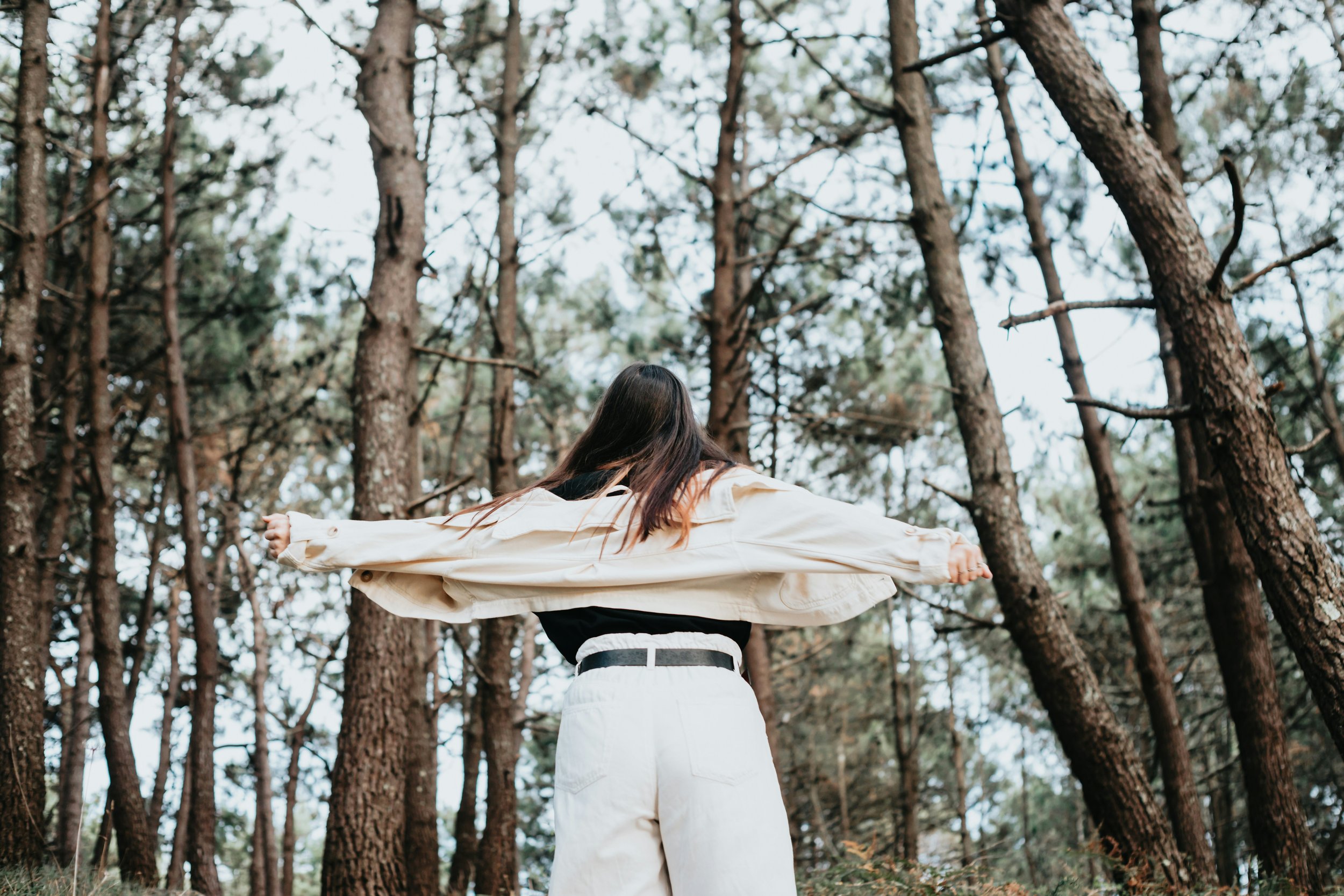 a-c-pBt37U1Masw-unsplash.jpg