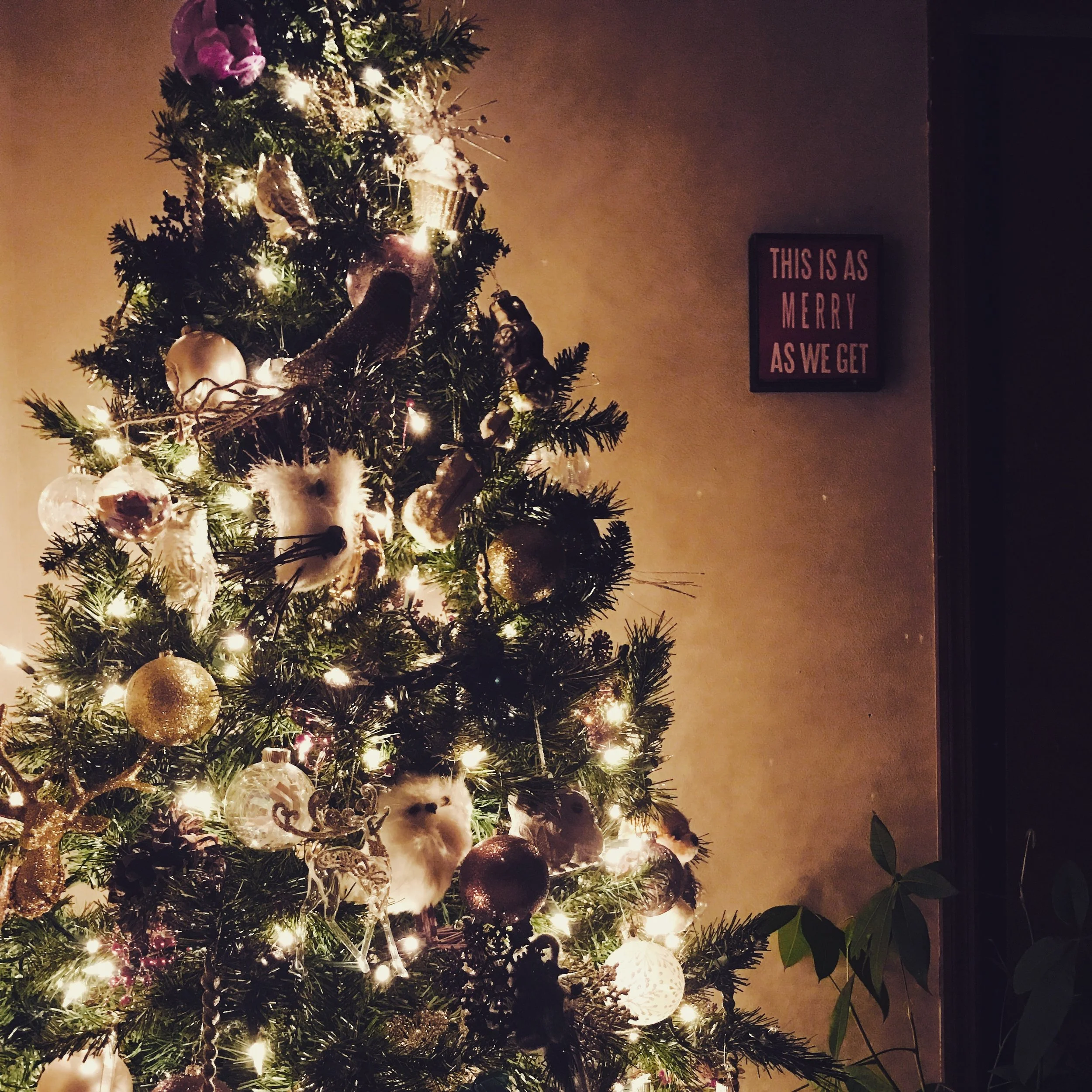 The Christmas tree I put up in my childhood bedroom