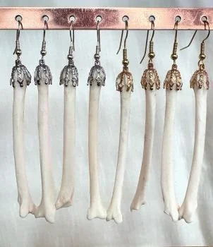 Coyote Bone Earrings