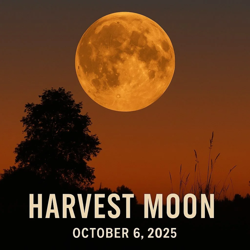 🌕 Harvest Moon | October 6, 2025 🌕

The Harvest Moon is the full moon closest to the autumn equinox, and in 2025, it rises on October 6. Traditionally, this moon marked a sacred and practical turning point, when the final crops were gathered, field