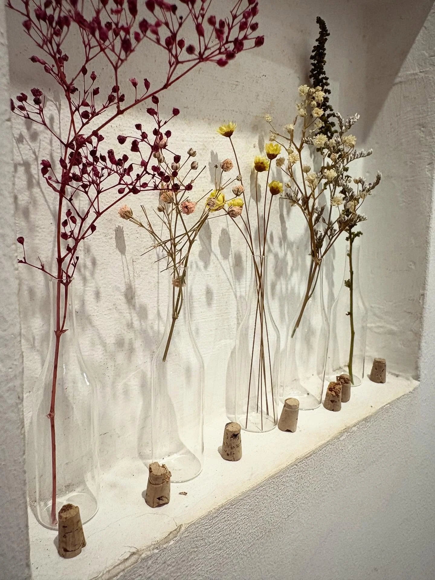 Botanical inspirations 🍃

#botanical #plantart #botanicalart #ritualdecor #d&eacute;cor #naturalliving #bohohome #driedflowers #flowerart #ritual #rhythmicliving #simpleliving #artinspo