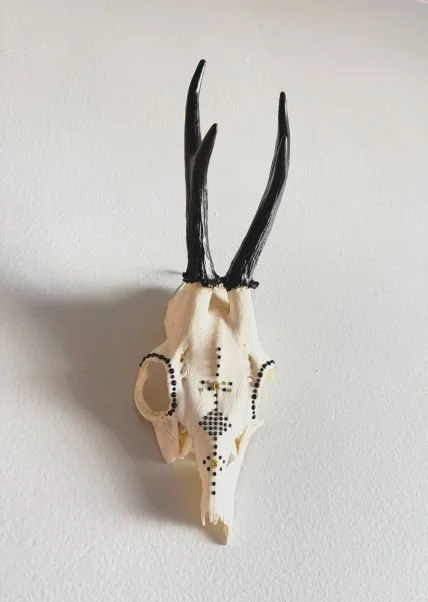 European Roe Deer.jpg