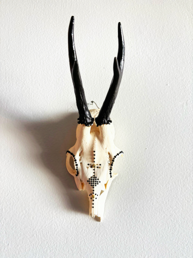 European Roe Deer Wall Mount